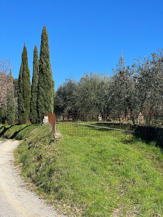 Land with house