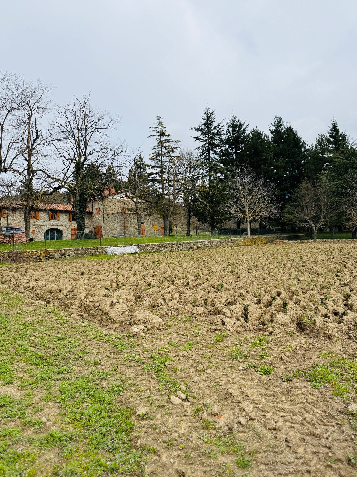 Stunning property in Tuscany: a unique opportunity surrounded by nature