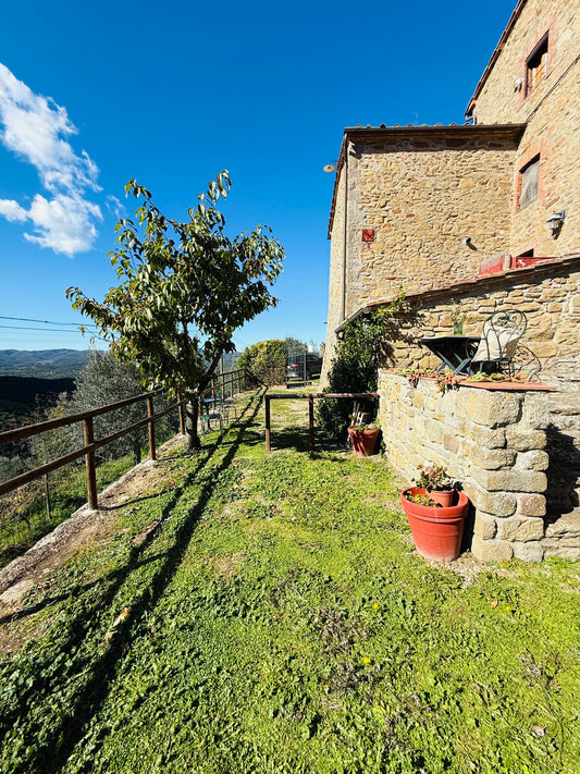 House in a village with swimming pool and view