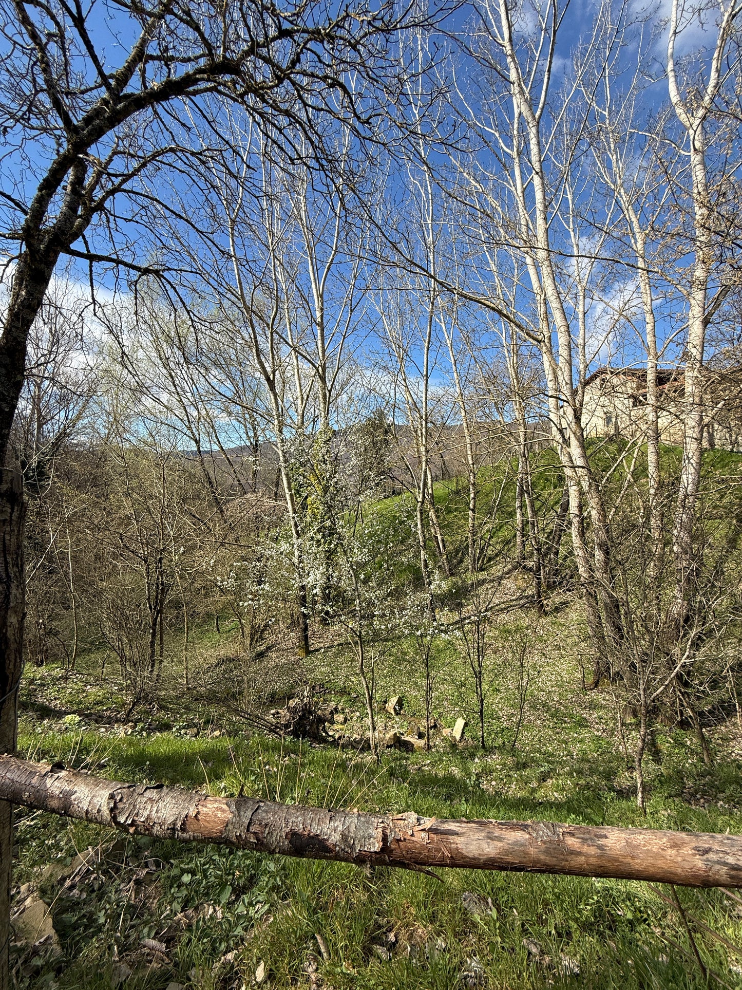 Stone cabin in the heart of nature - mountain village
