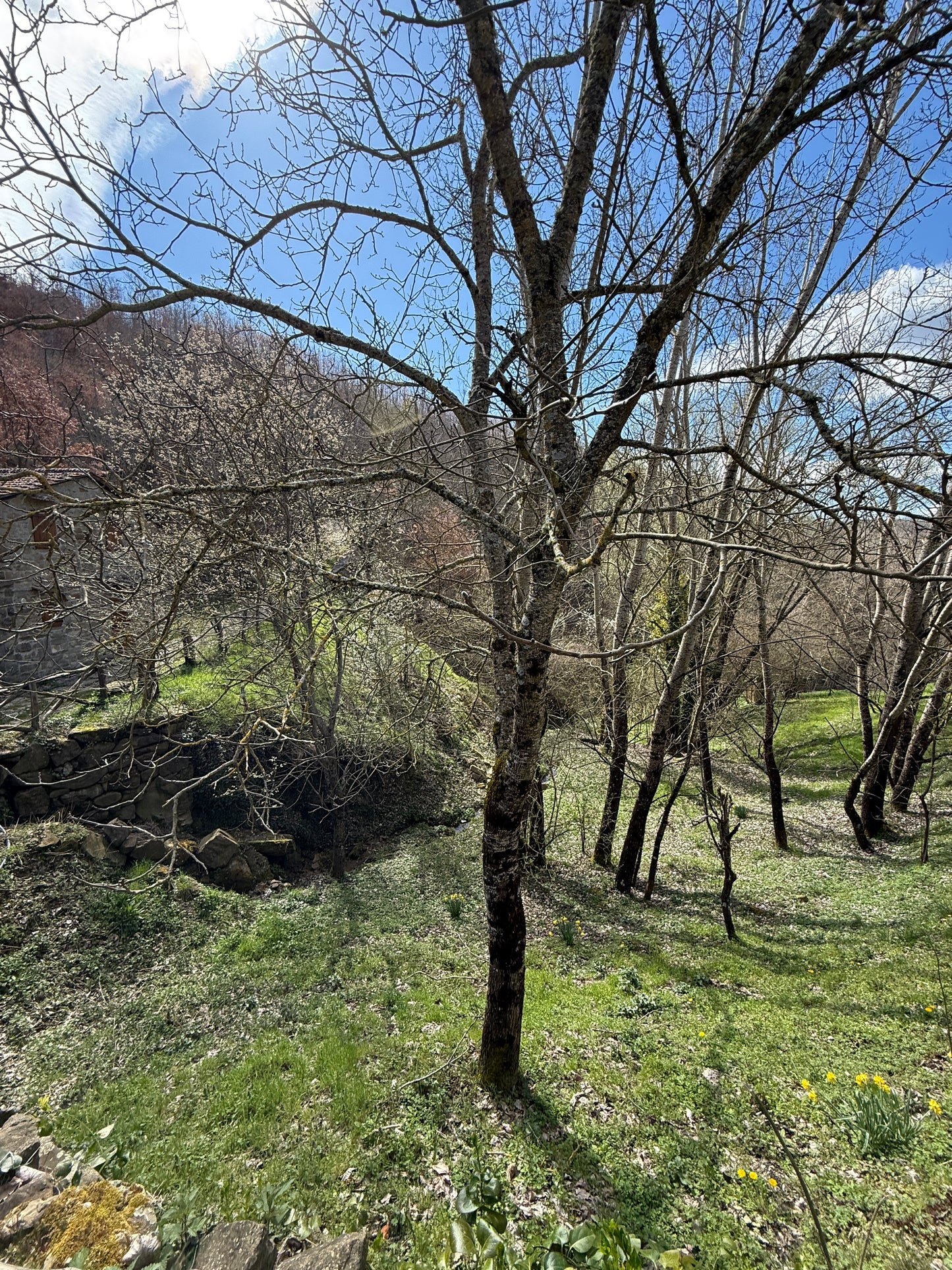 Stone cabin in the heart of nature - mountain village