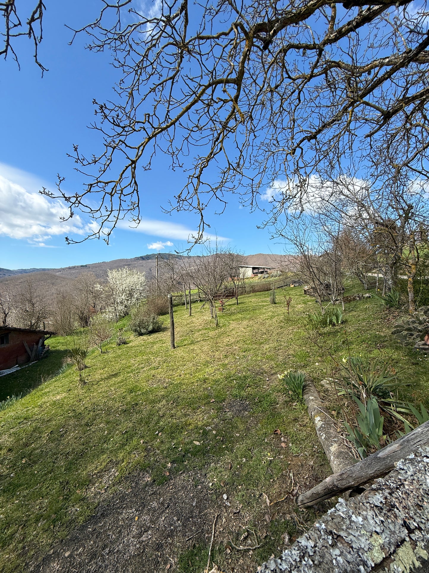 Stone cabin in the heart of nature - mountain village
