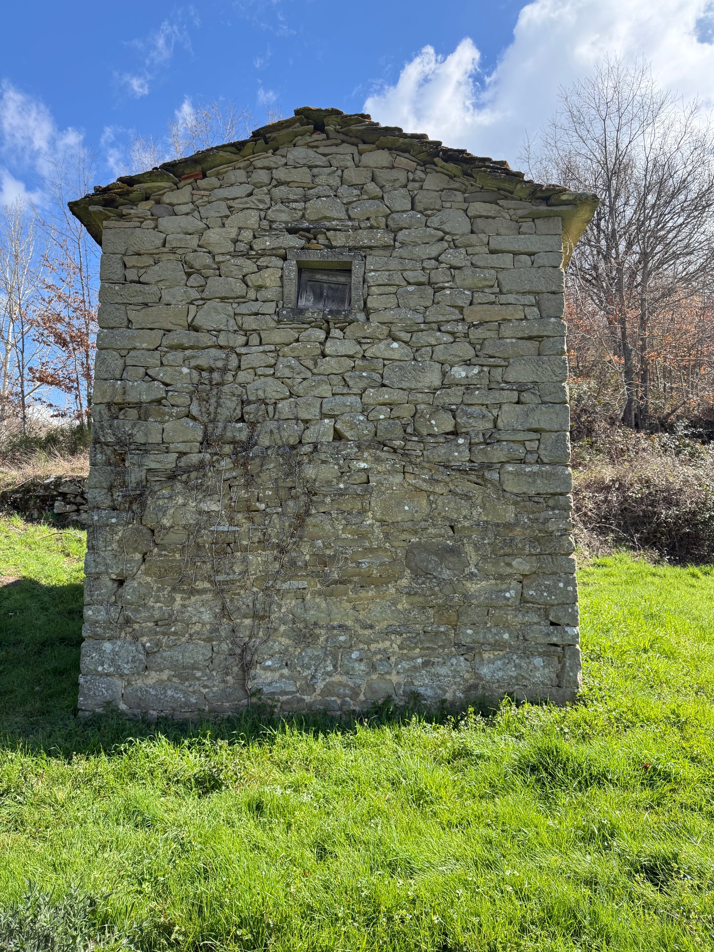 Stone cabin in the heart of nature - mountain village