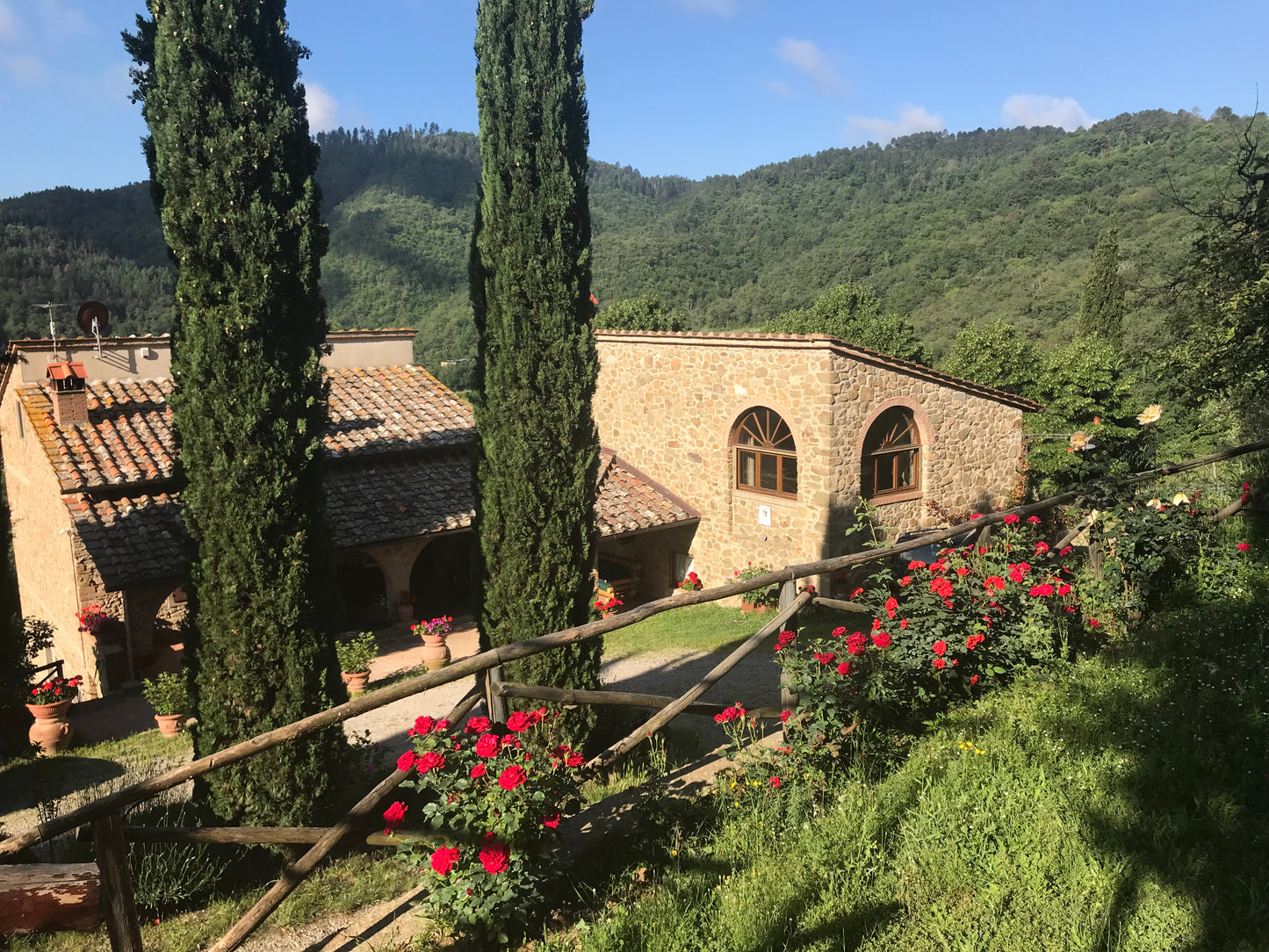 Villa in the middle of Chianti
