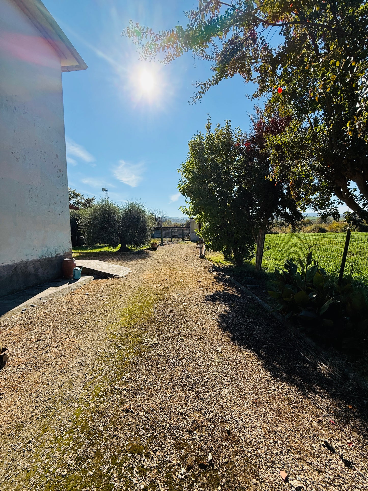 Detached house with garage, warehouse and outdoor space