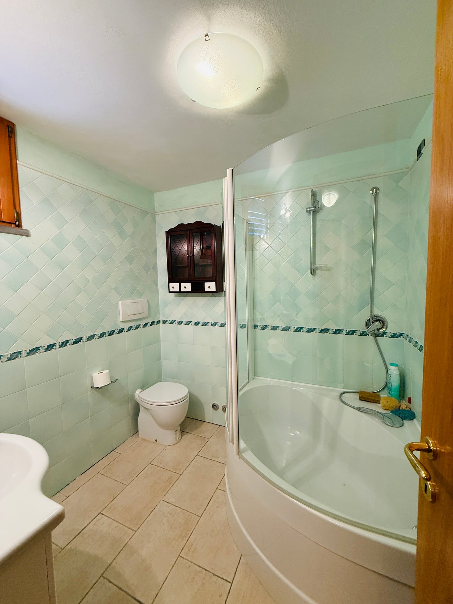 UNDER CONTRACT 130 + triple garage + 2 terrace + garden