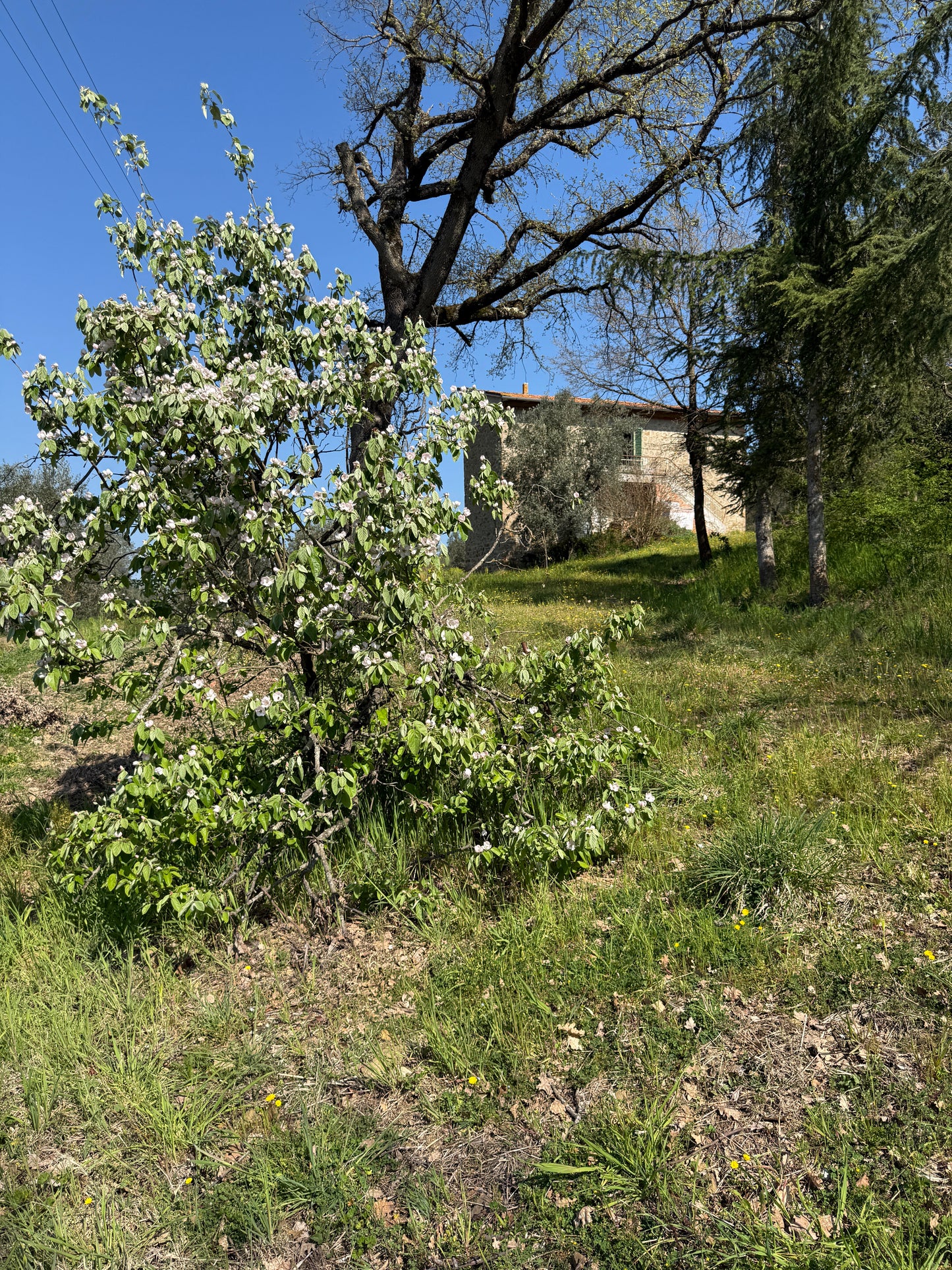 Tuscan Farmhouse