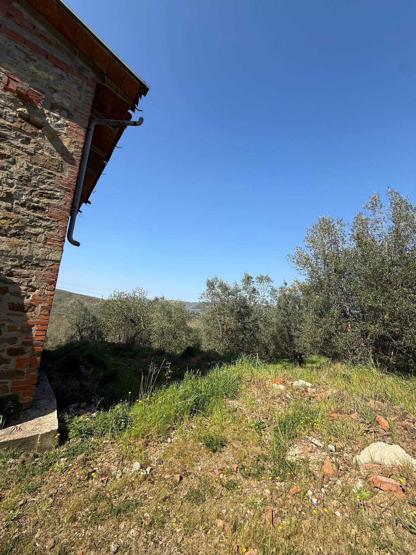 Tuscan Farmhouse