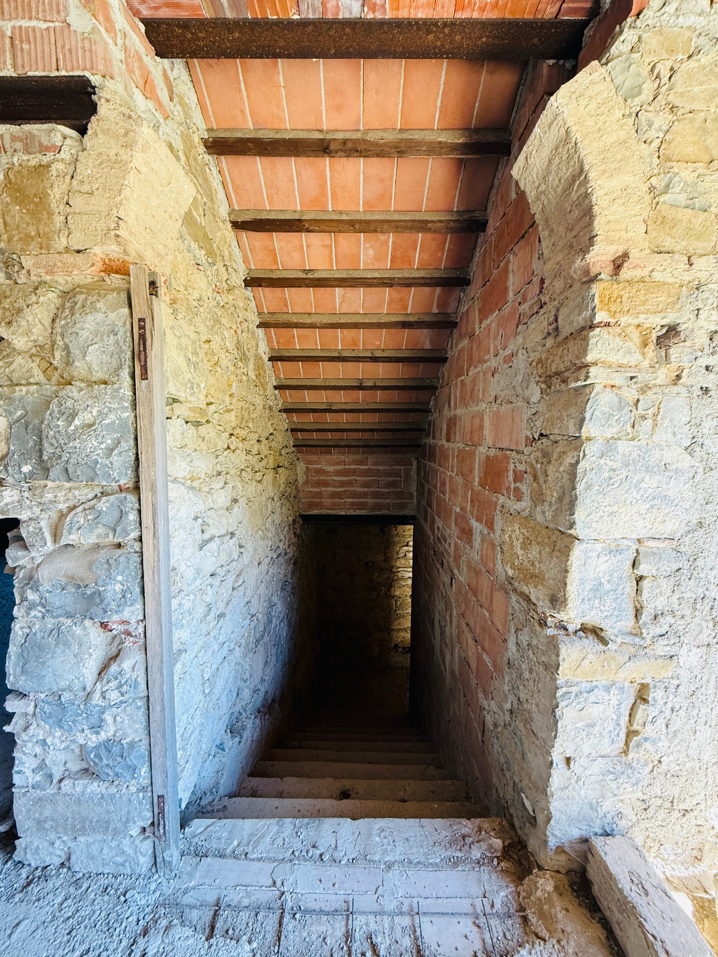 Unfinished stone Leopoldina with panoramic view