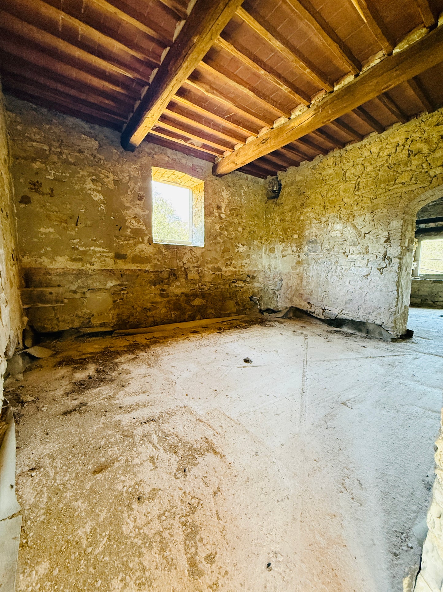 Unfinished stone Leopoldina with panoramic view