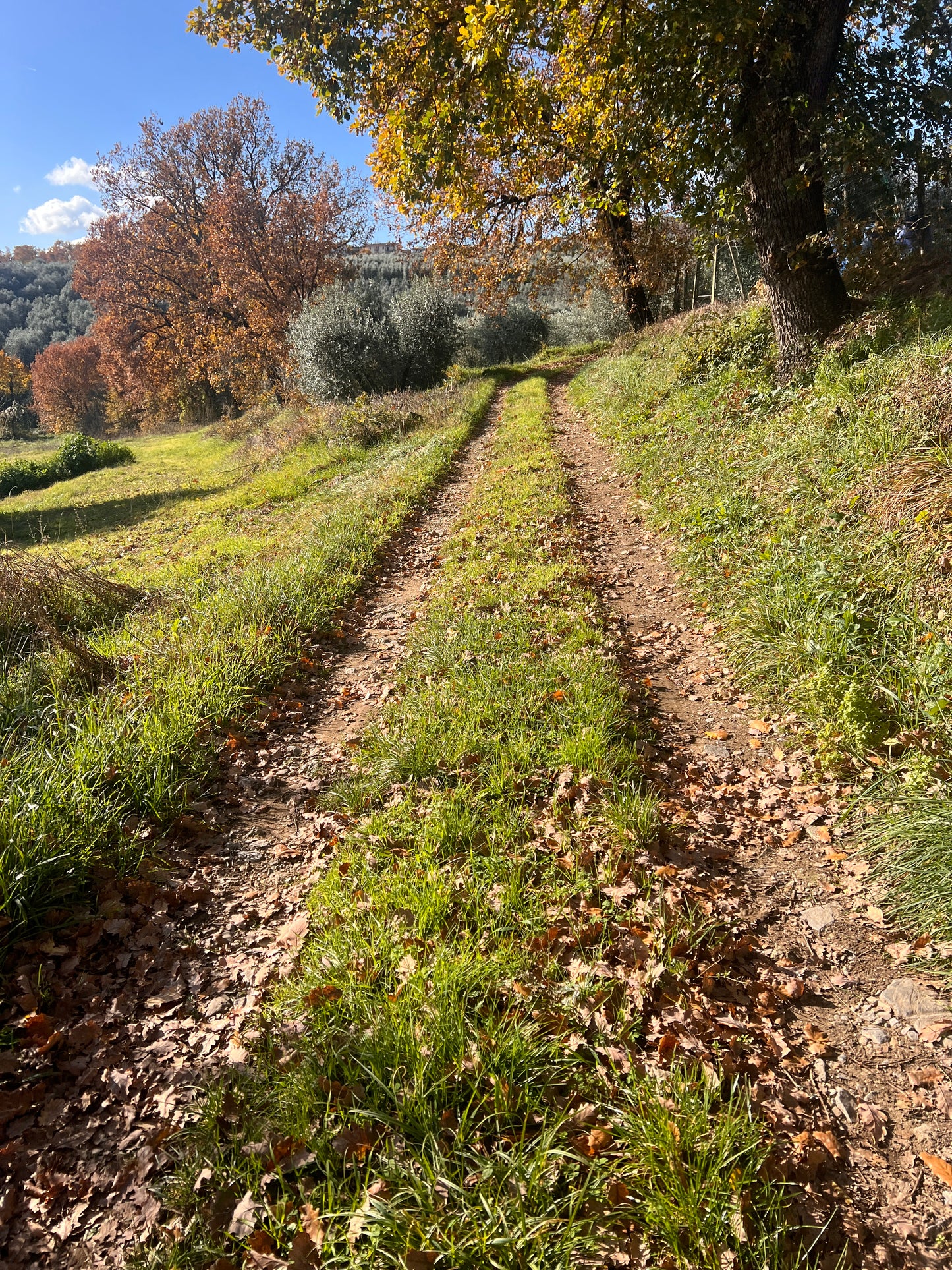 Agricultural land
