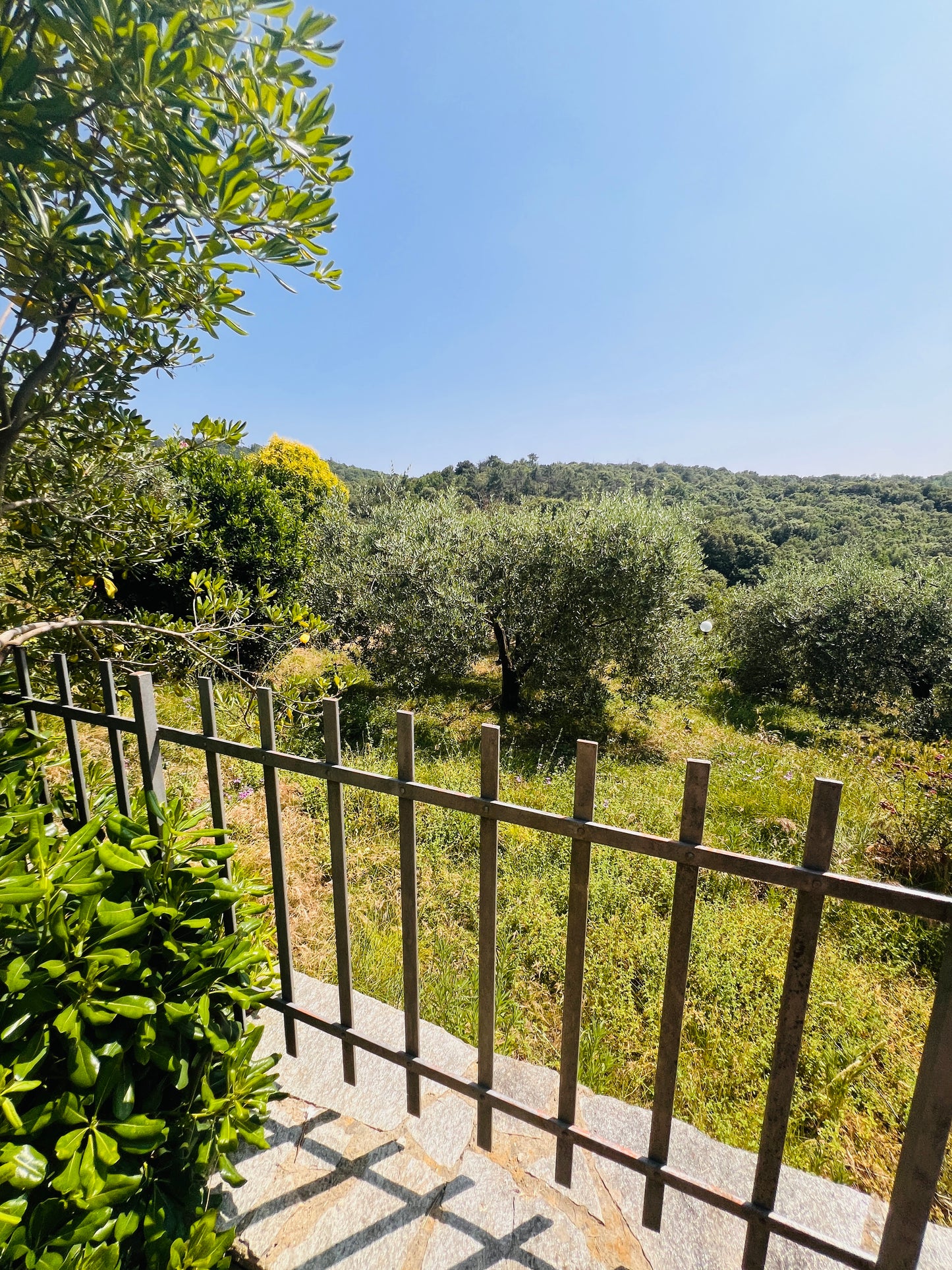 Tuscan Farmhouse