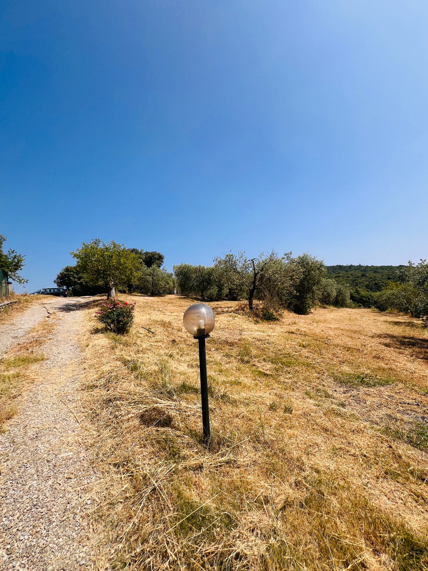 Tuscan Farmhouse