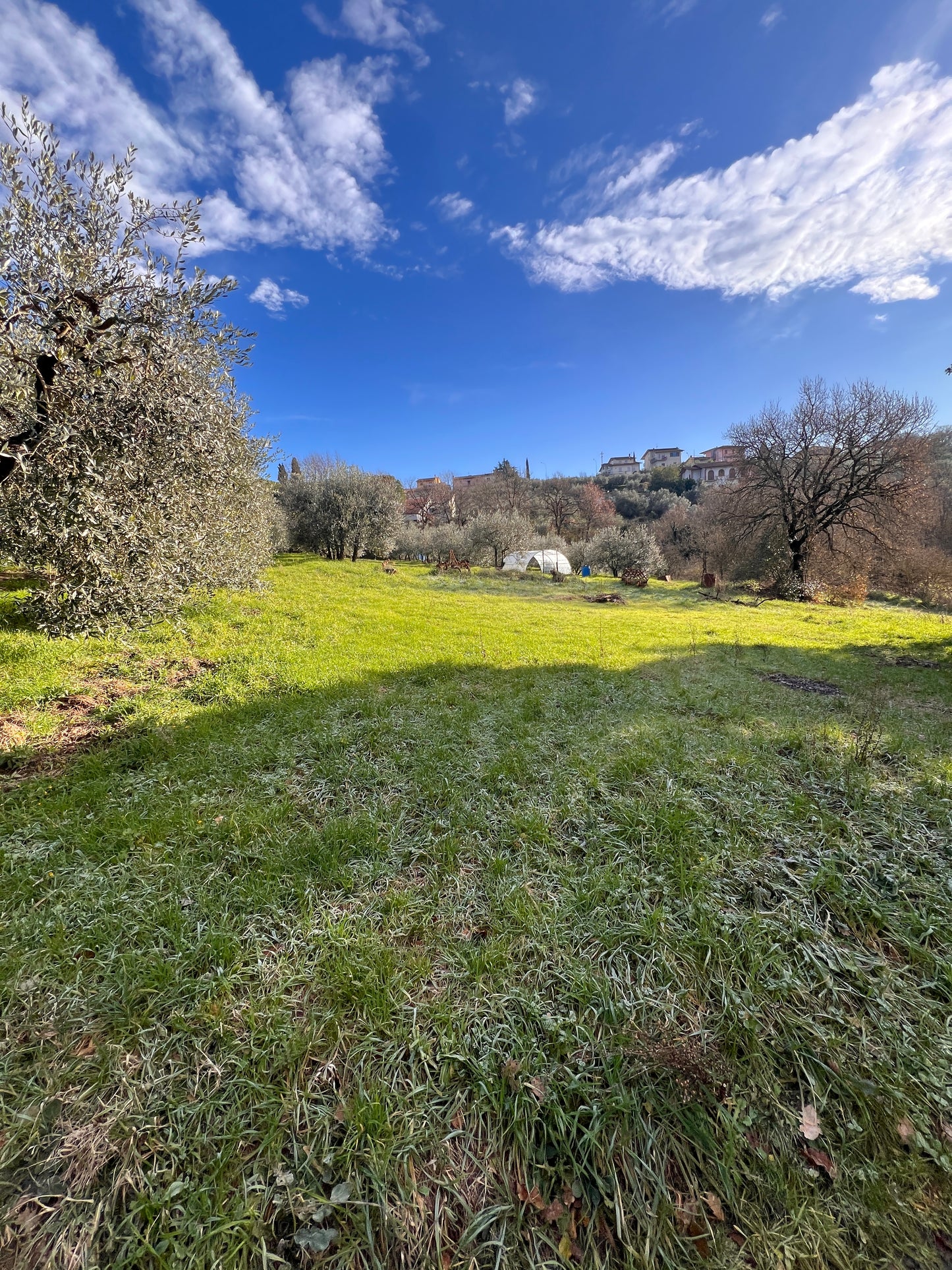 Agricultural land with house