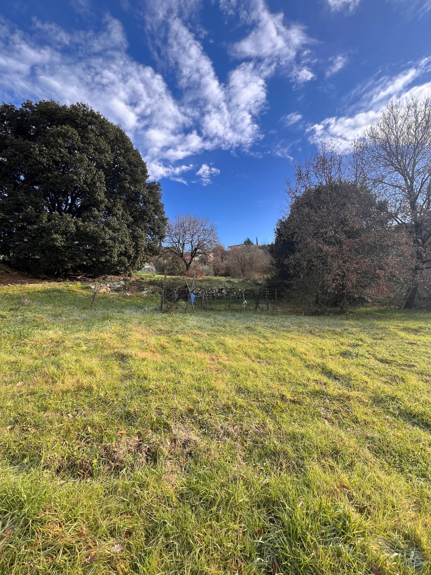 Agricultural land with house