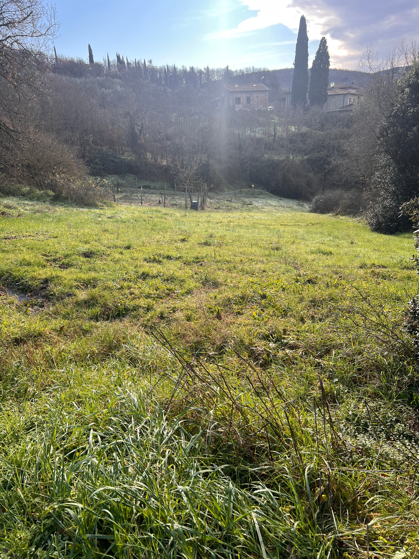 Agricultural land with house