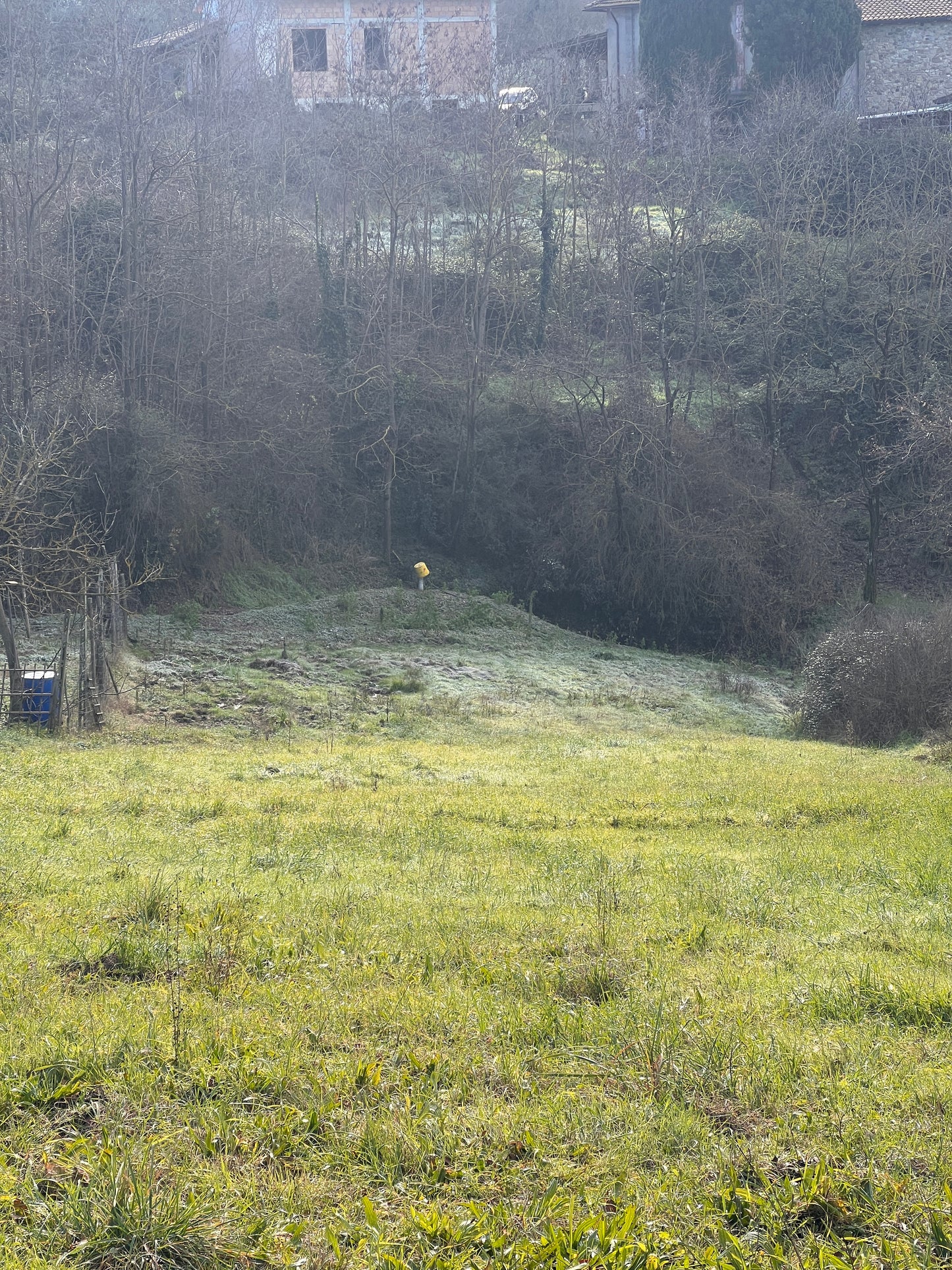 Agricultural land with house