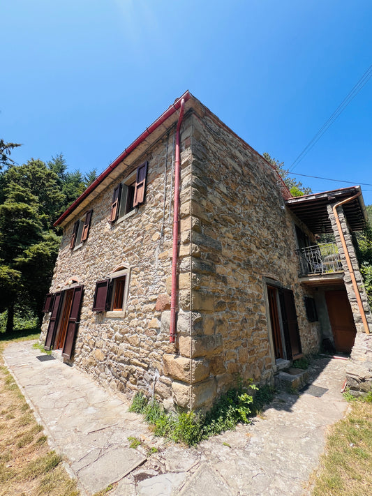 Renovated apartments in the Casentino forest