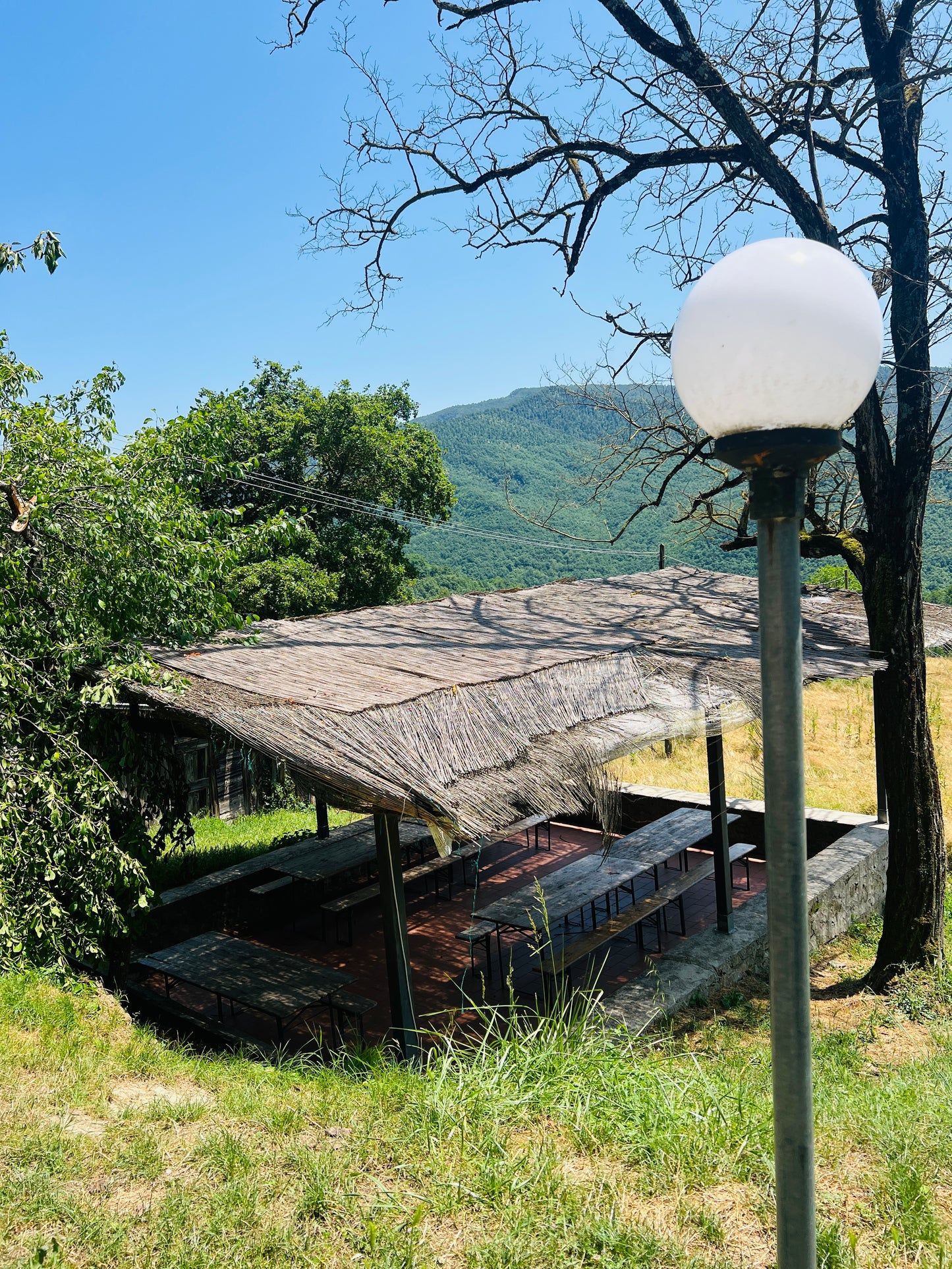 Renovated apartments in the Casentino forest