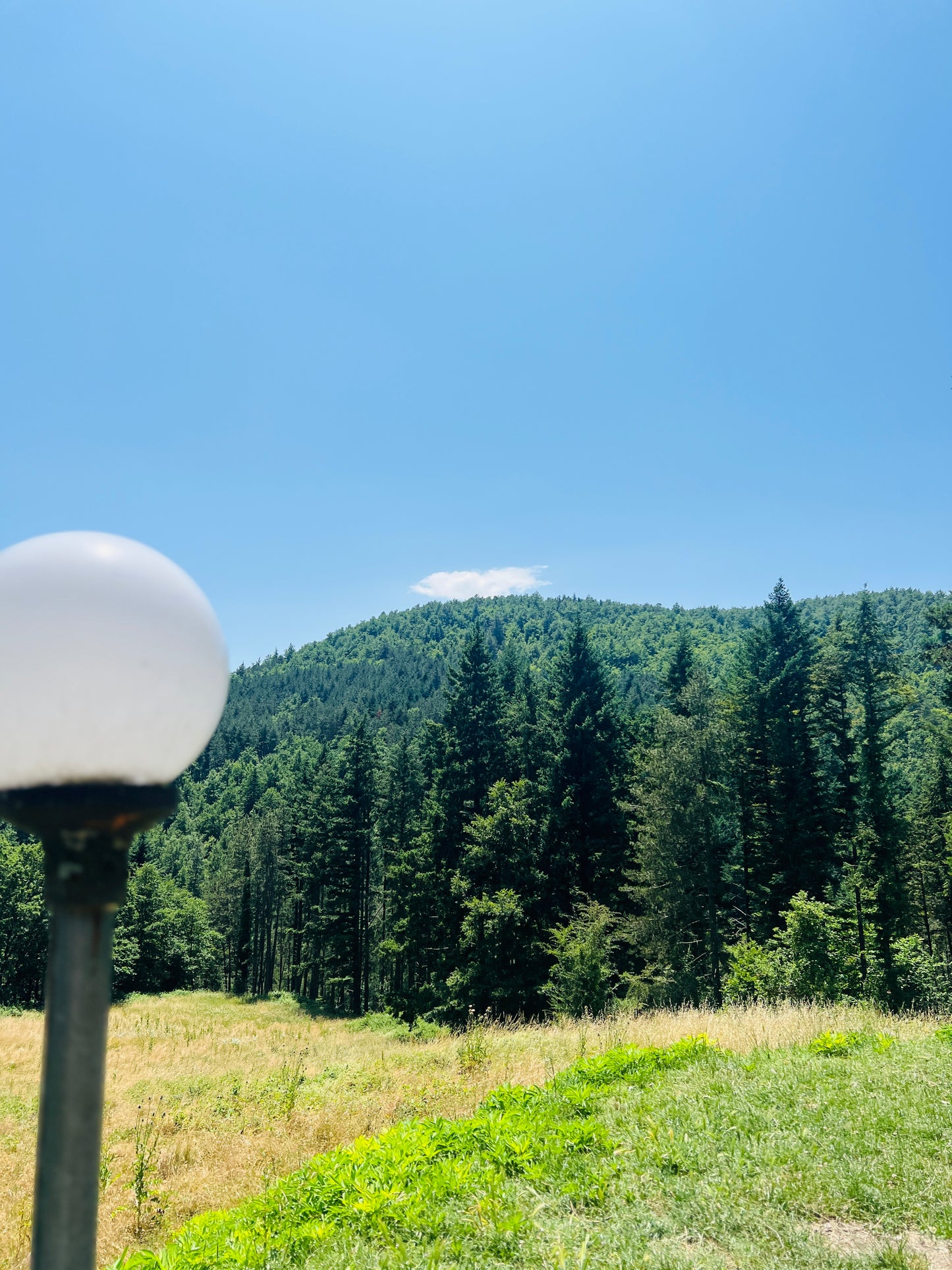 Renovated apartments in the Casentino forest