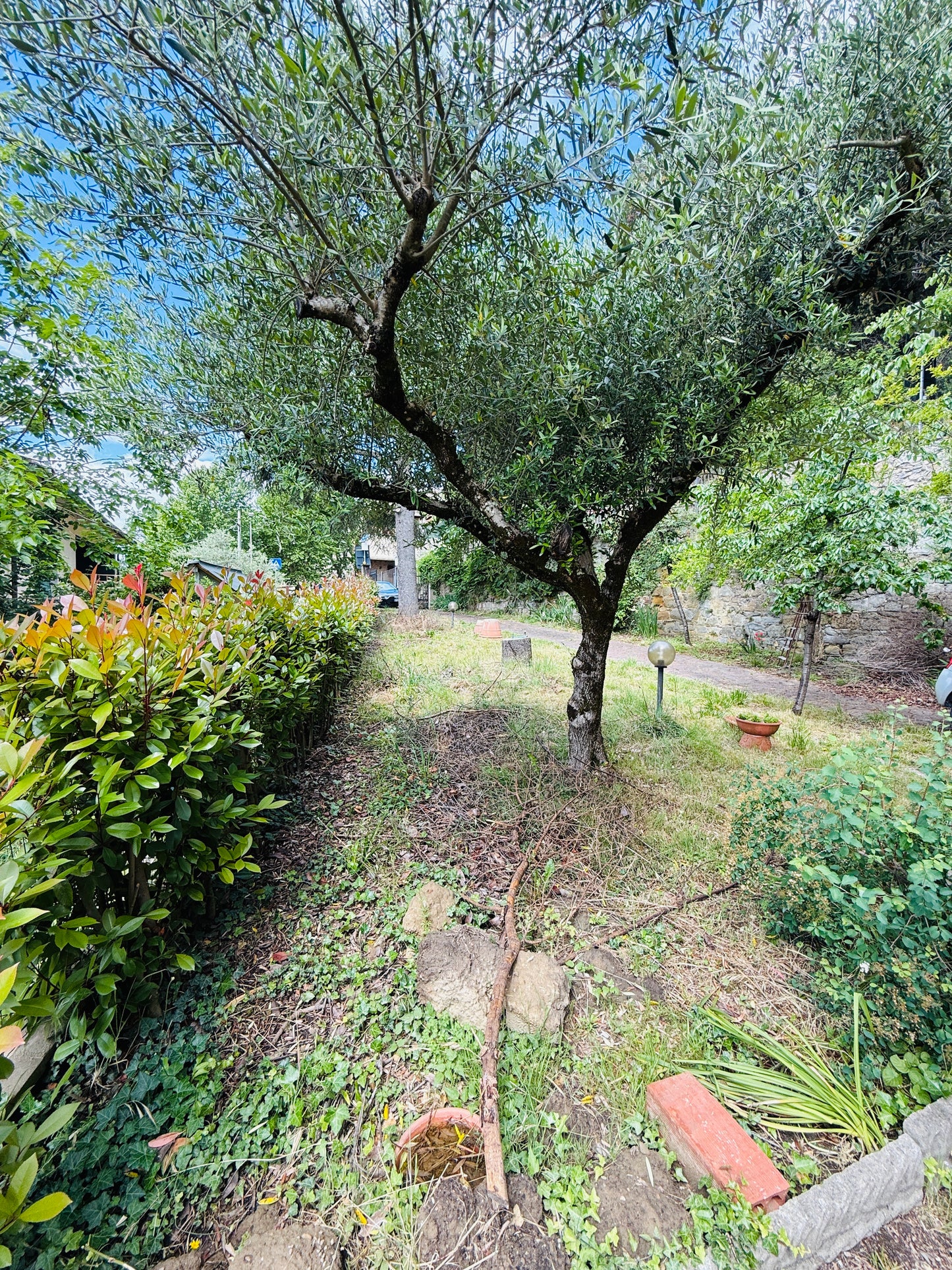Detached House with Investment Potential in Laterina for Two Apartments