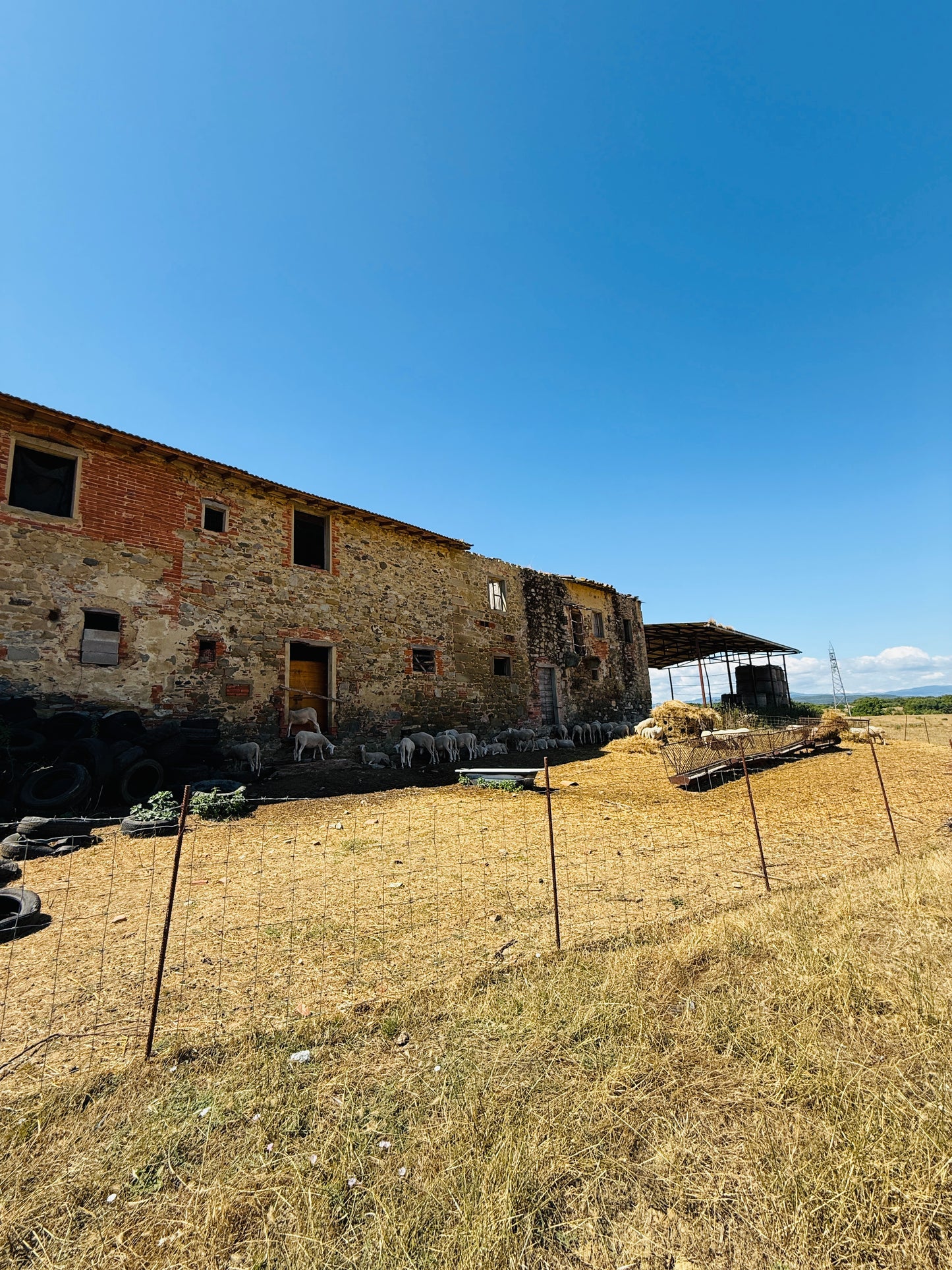 Farmhouse with 75 hectares