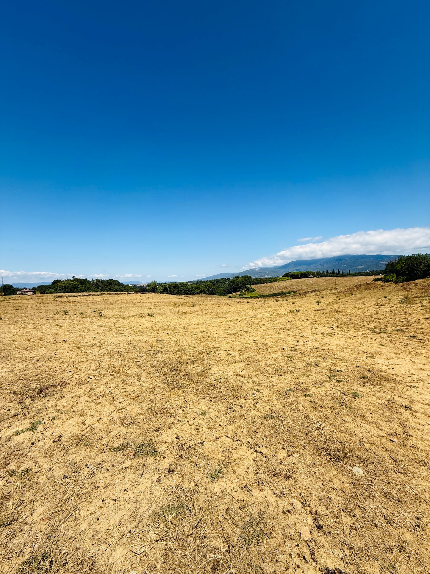 Farmhouse with 75 hectares