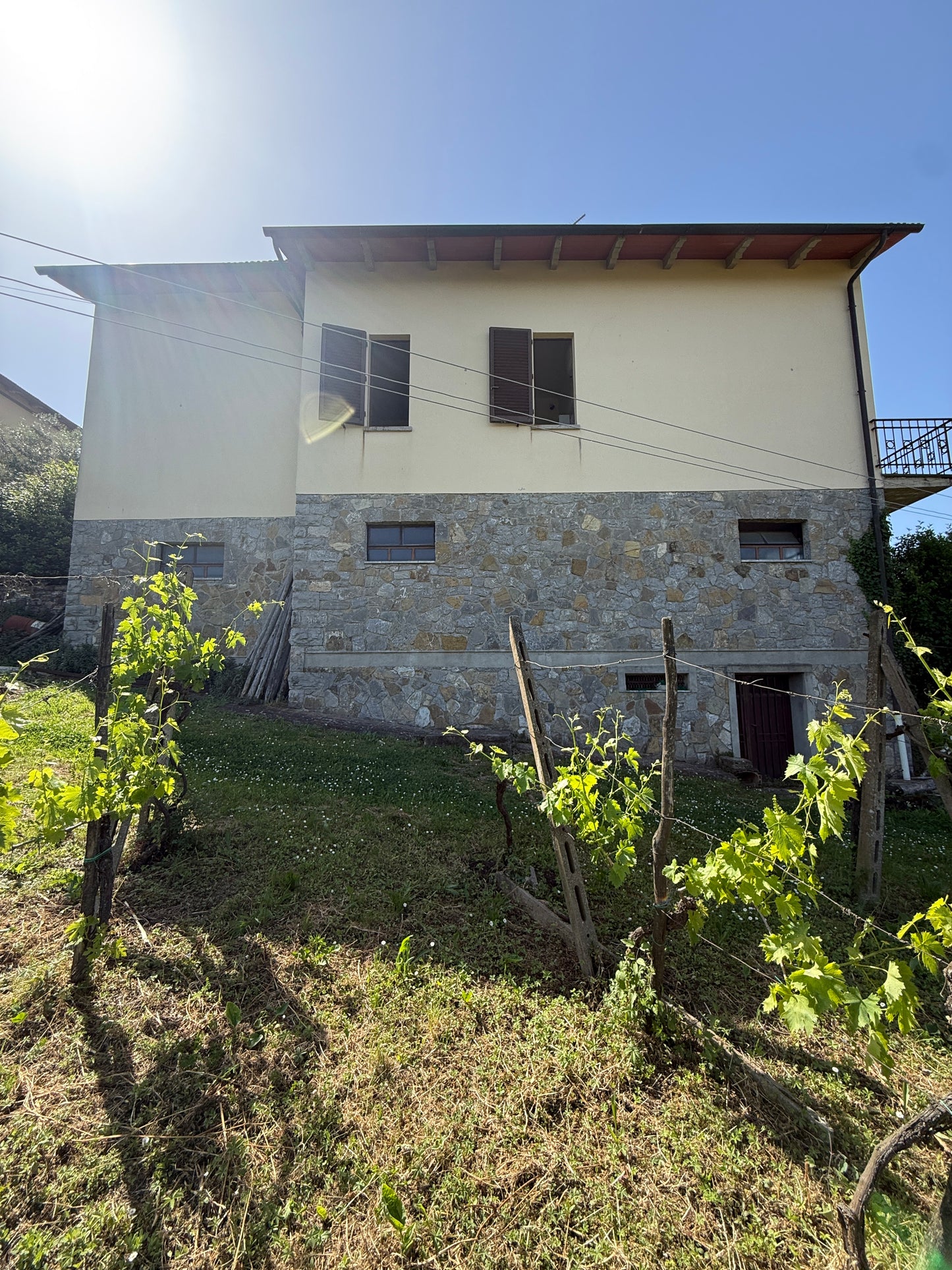 House with vineyard