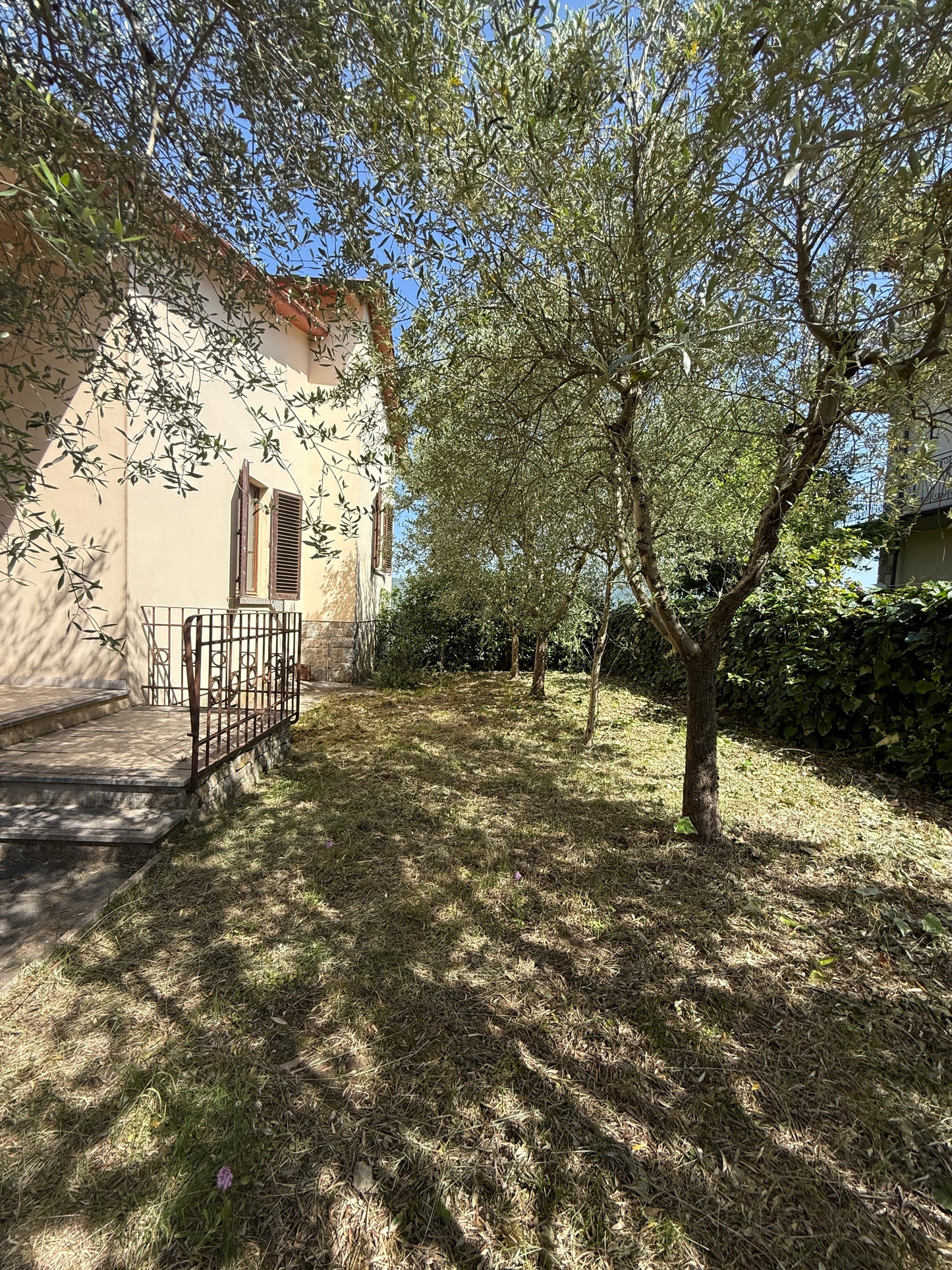 House with vineyard