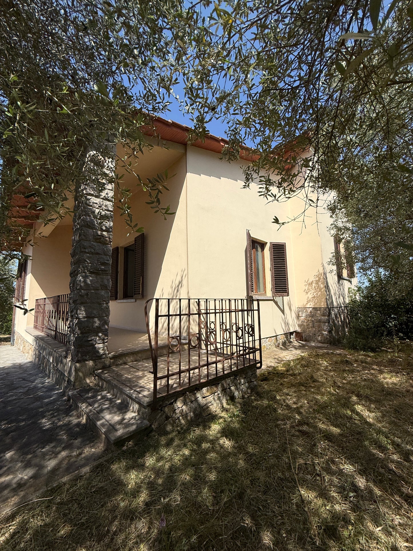 House with vineyard