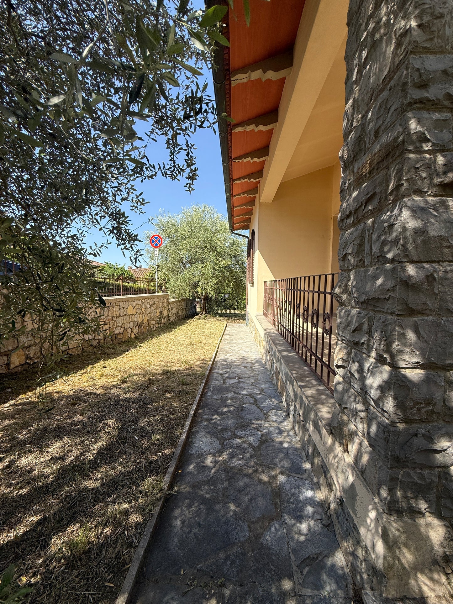House with vineyard