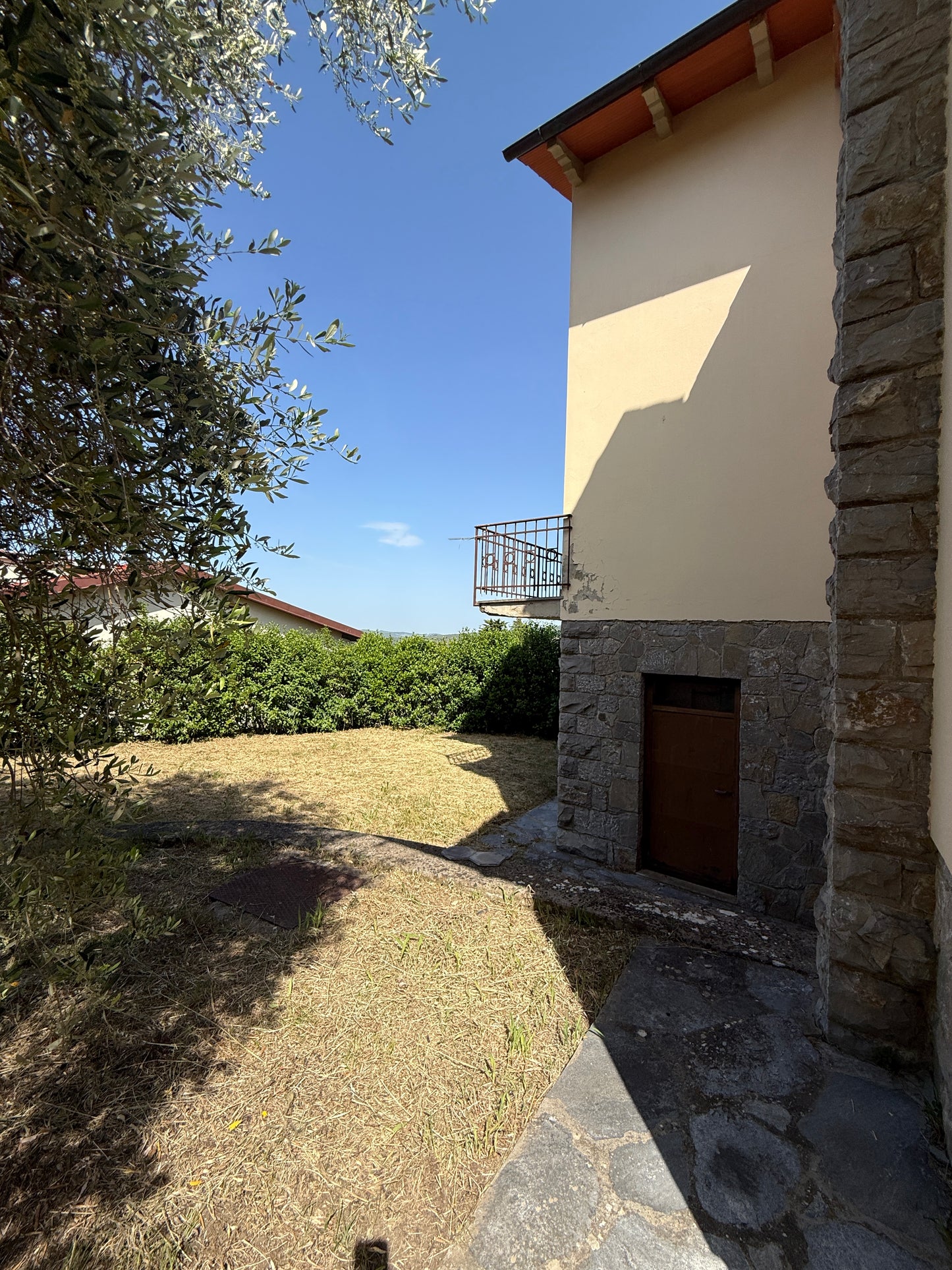 House with vineyard