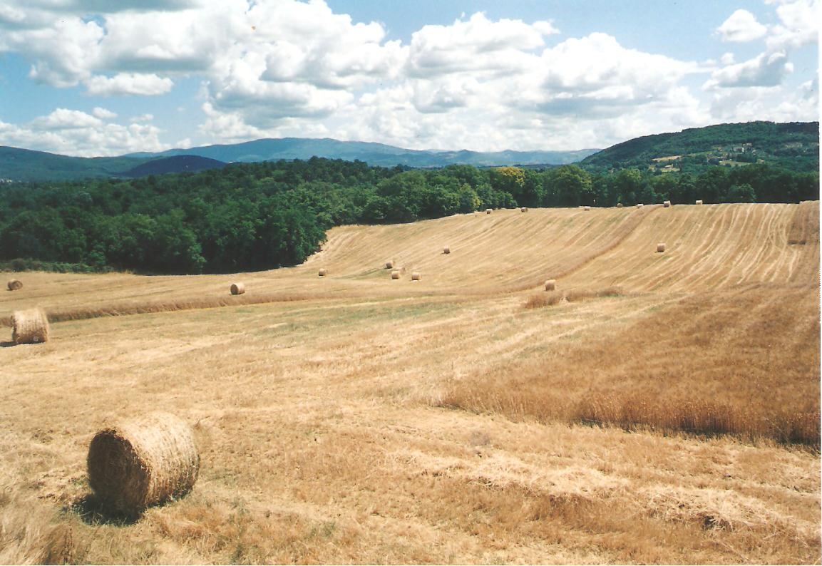 Farmhouse with 75 hectares