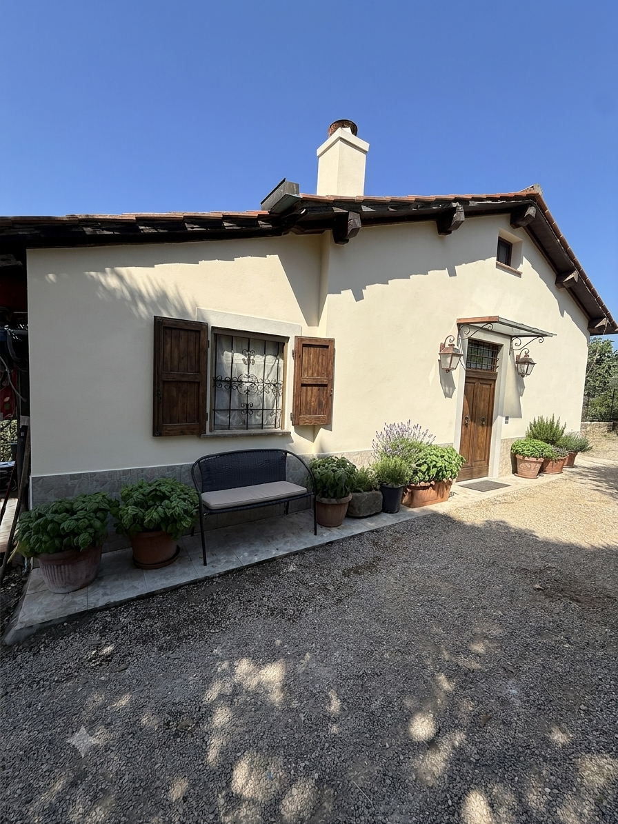 Summer cottage with olive trees in Pergine Valdarno
