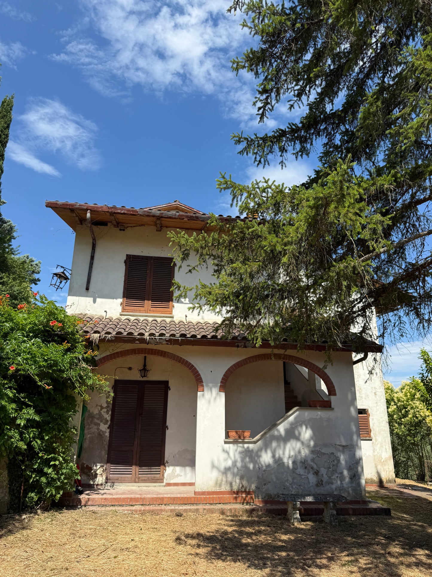 Villa near Arezzo centre with wineyard