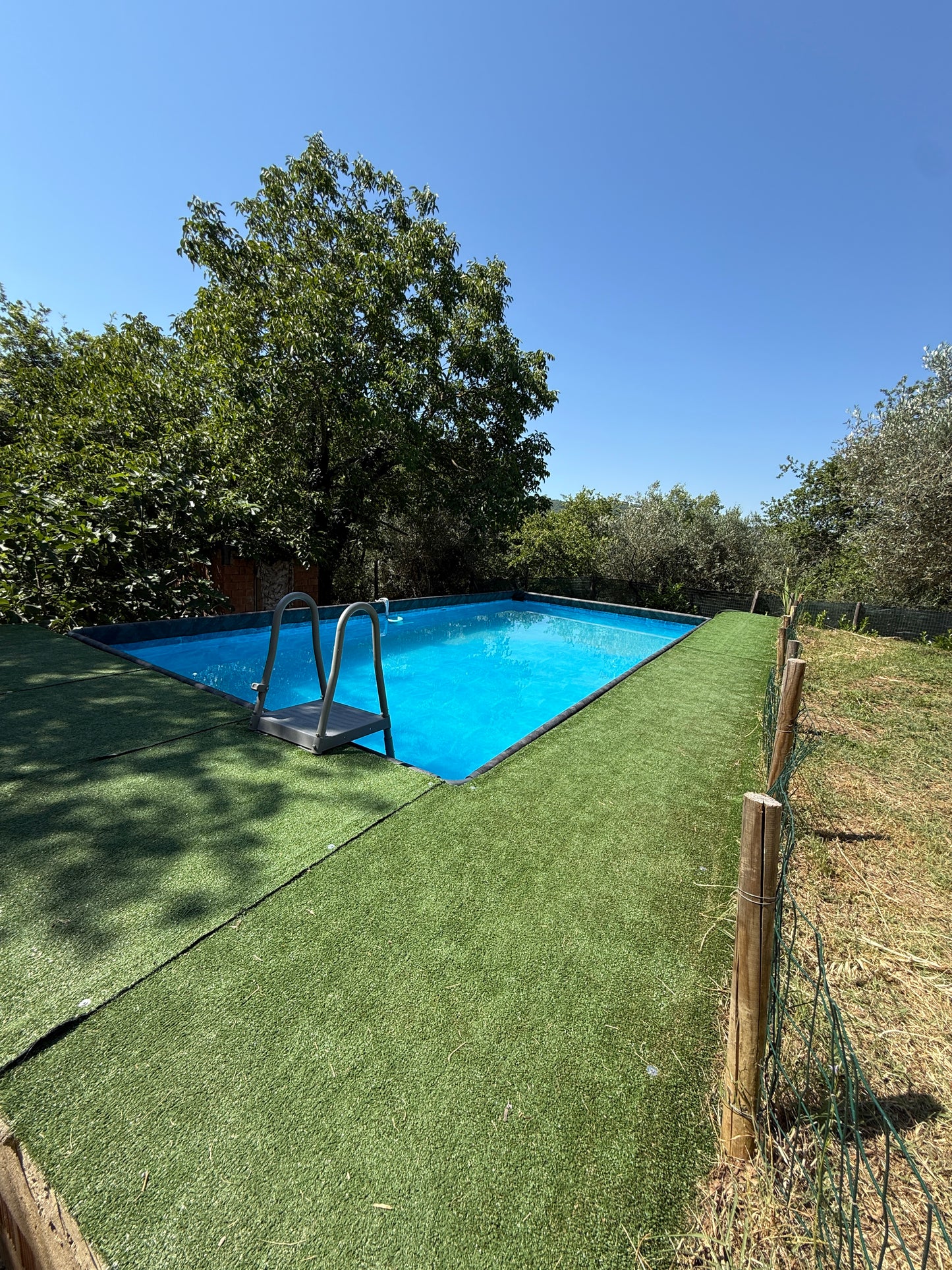 Summer cottage with olive trees in Pergine Valdarno