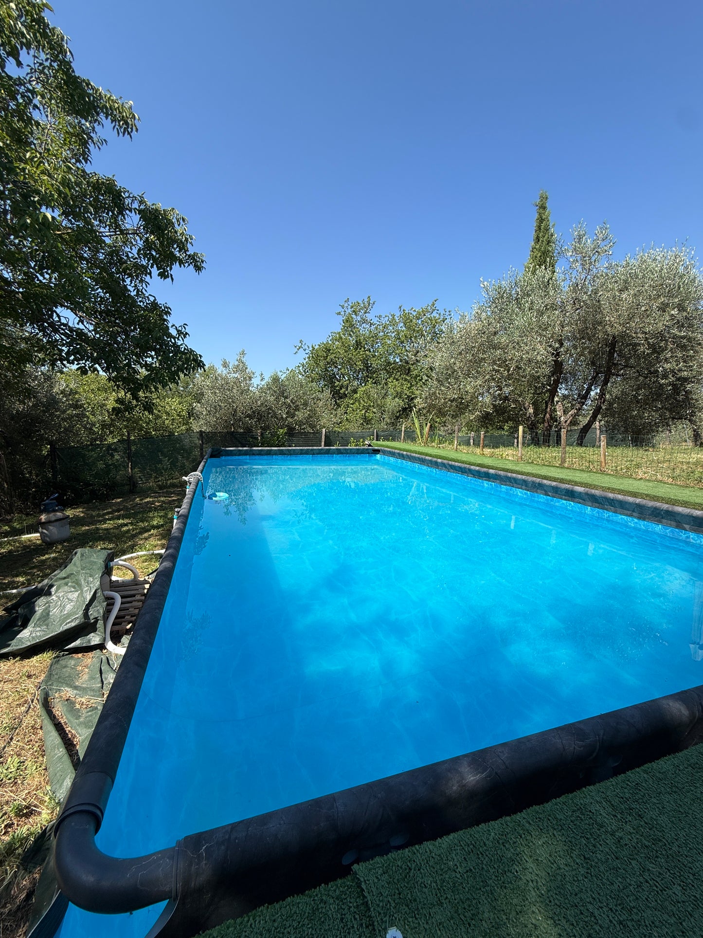 Summer cottage with olive trees in Pergine Valdarno
