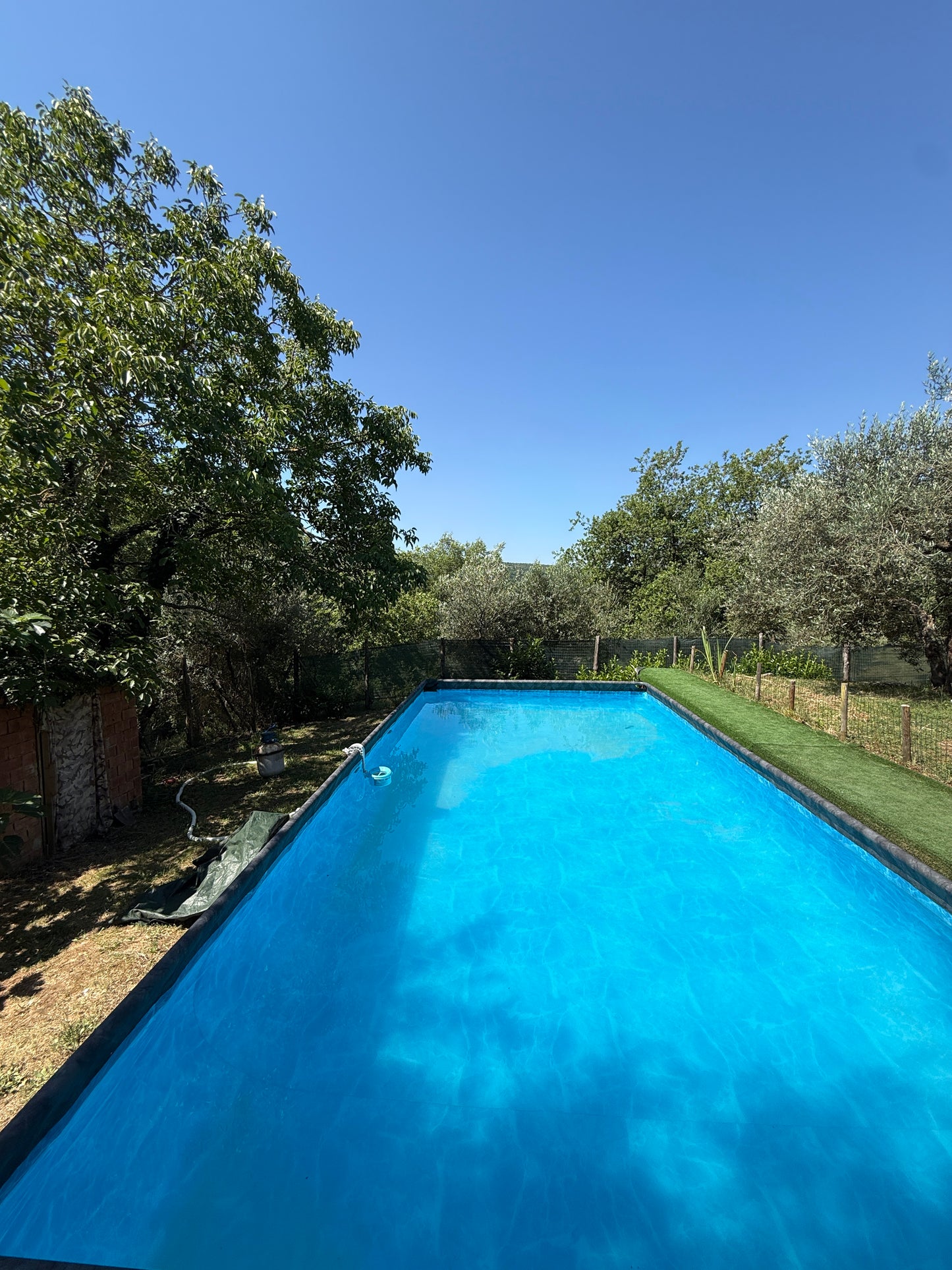 Summer cottage with olive trees in Pergine Valdarno