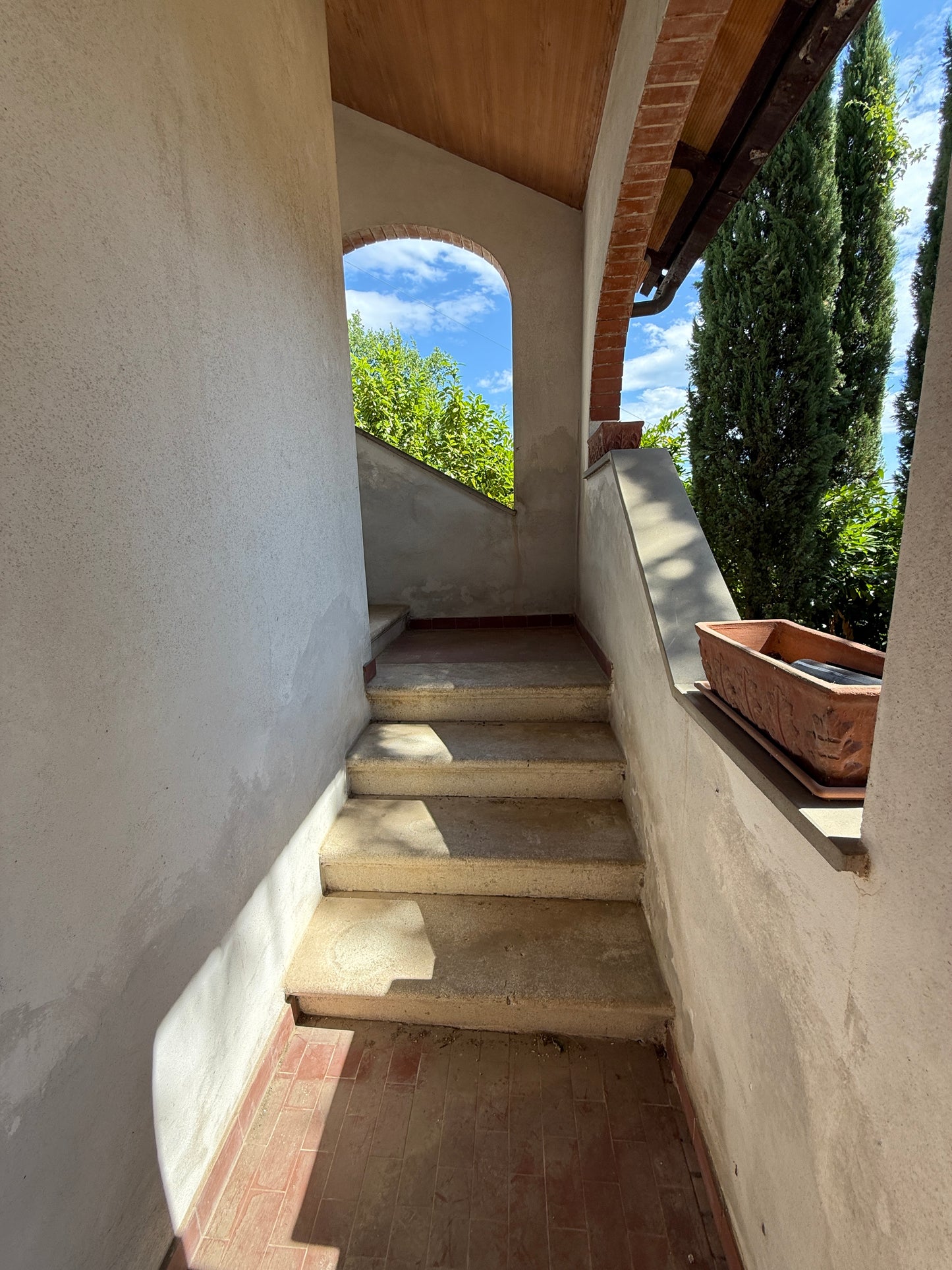 Villa near Arezzo centre with wineyard