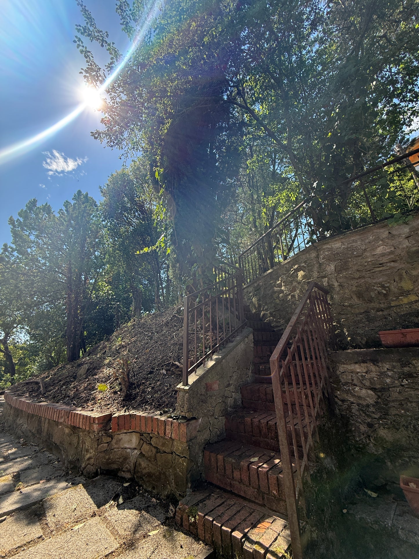 Villa near Arezzo centre with wineyard