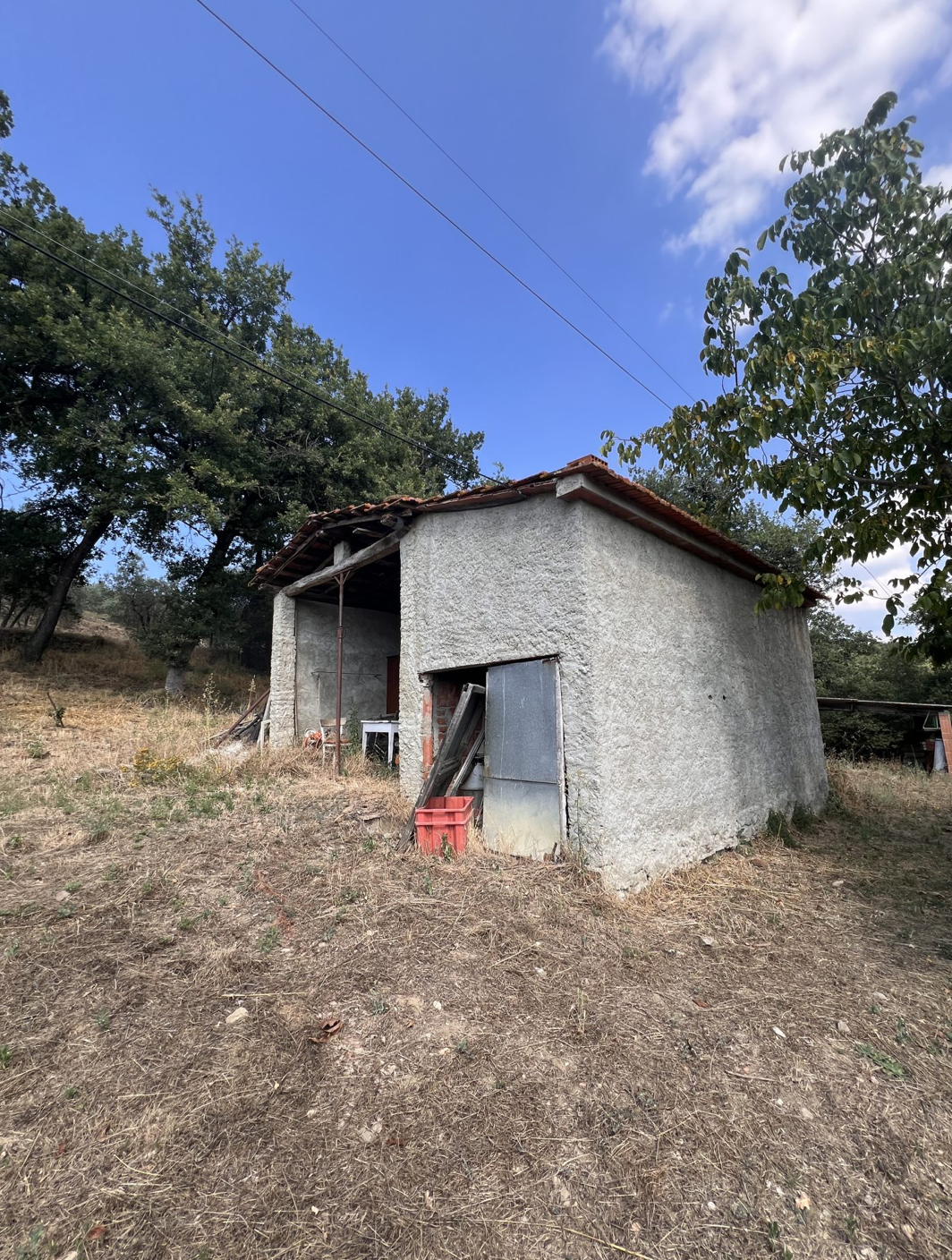Tuscan Farmhouse
