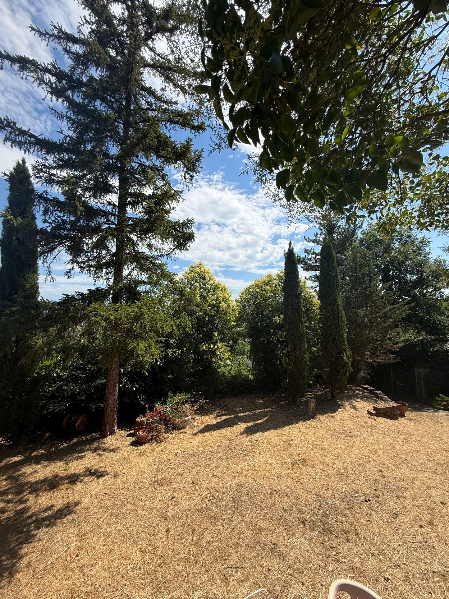 Villa near Arezzo centre with wineyard