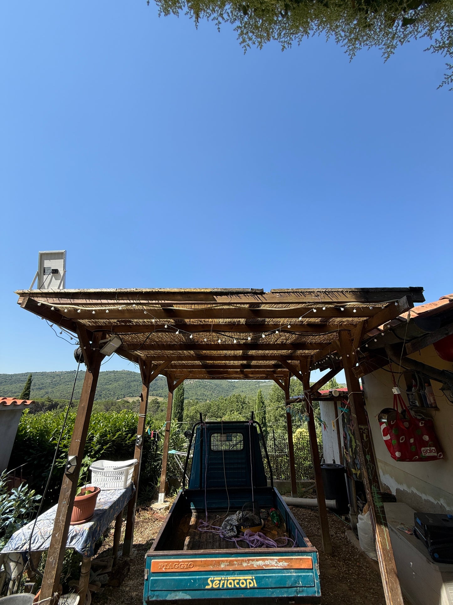Summer cottage with olive trees in Pergine Valdarno