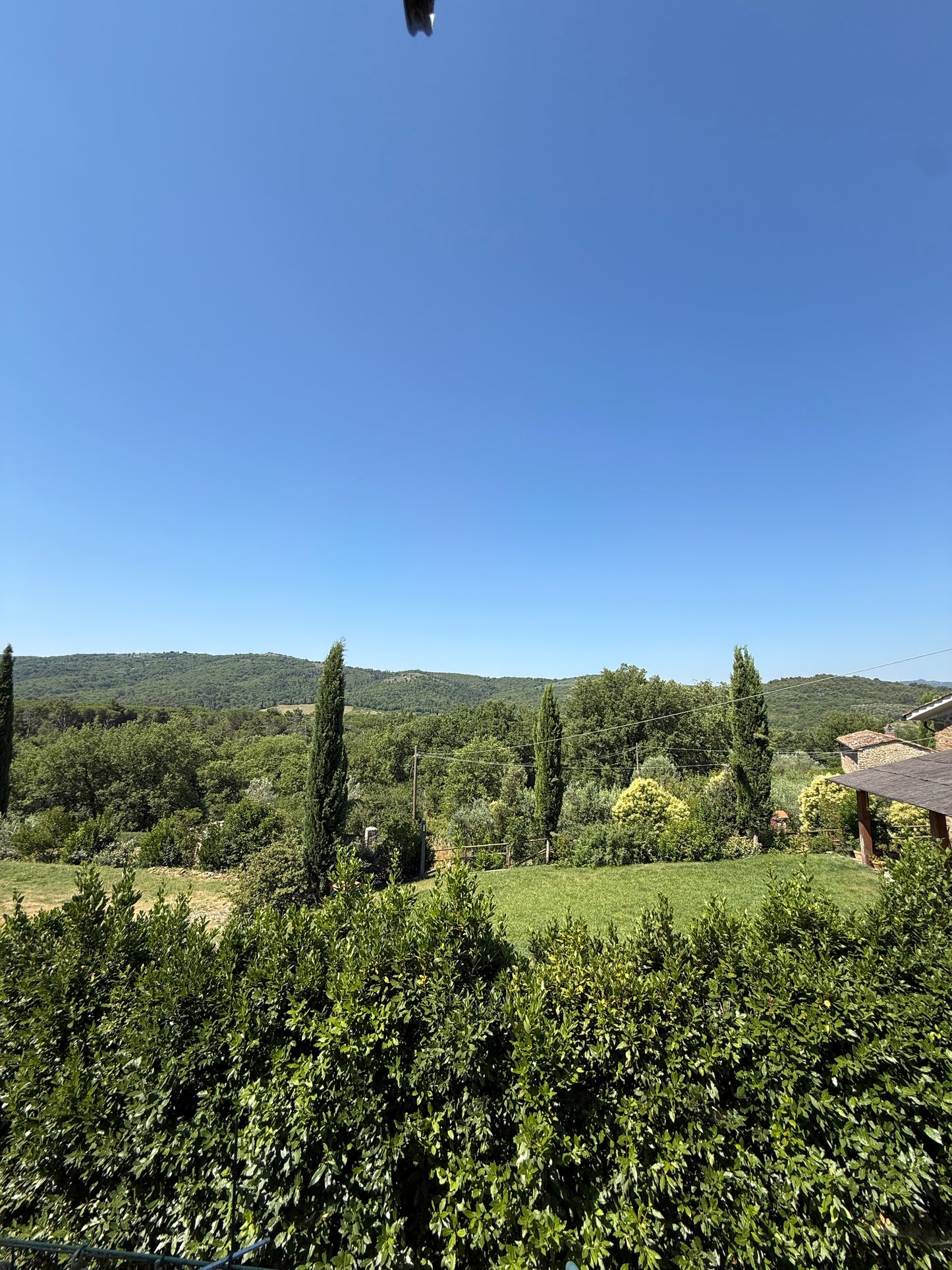 Summer cottage with olive trees in Pergine Valdarno