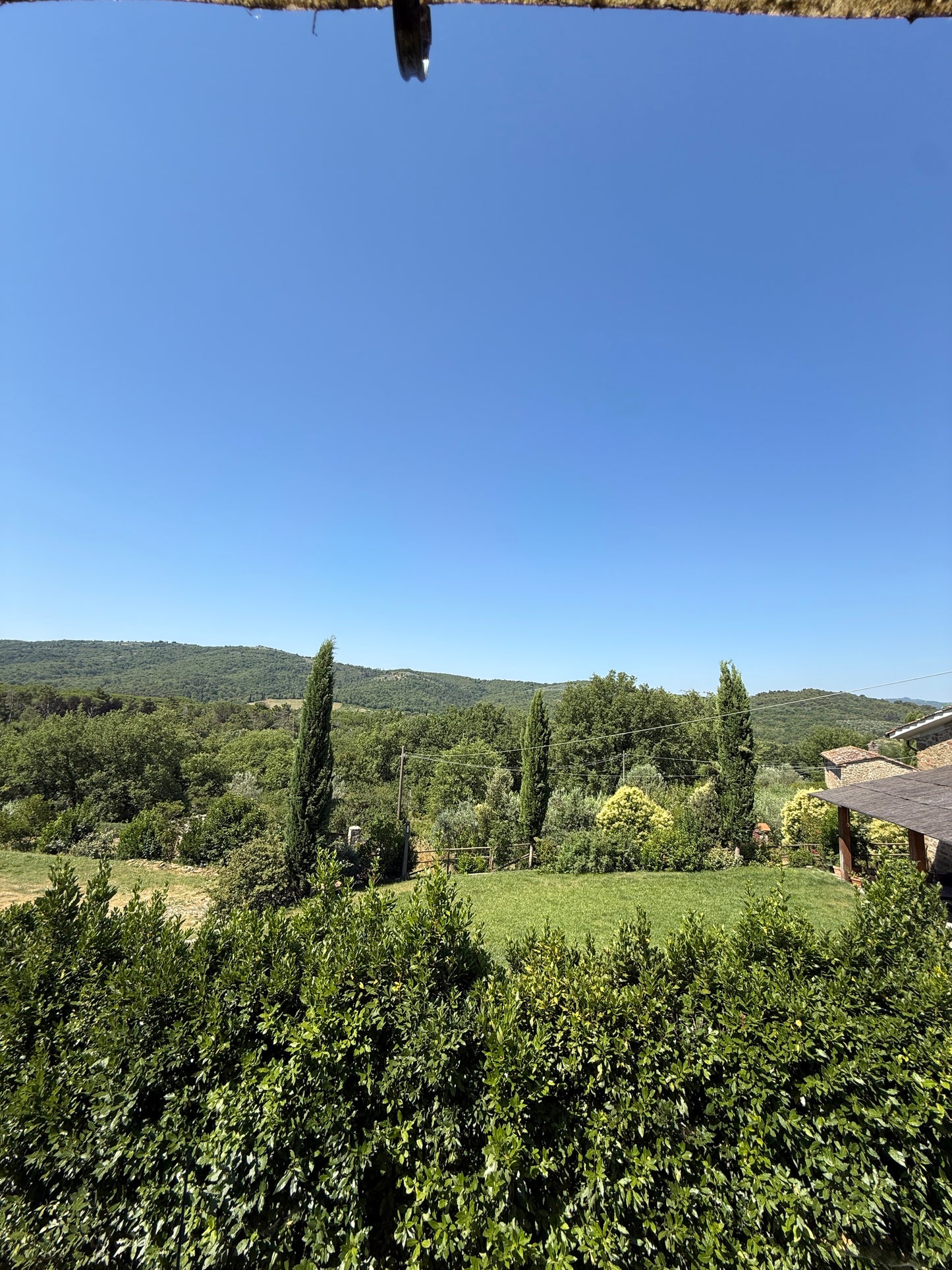 Summer cottage with olive trees in Pergine Valdarno