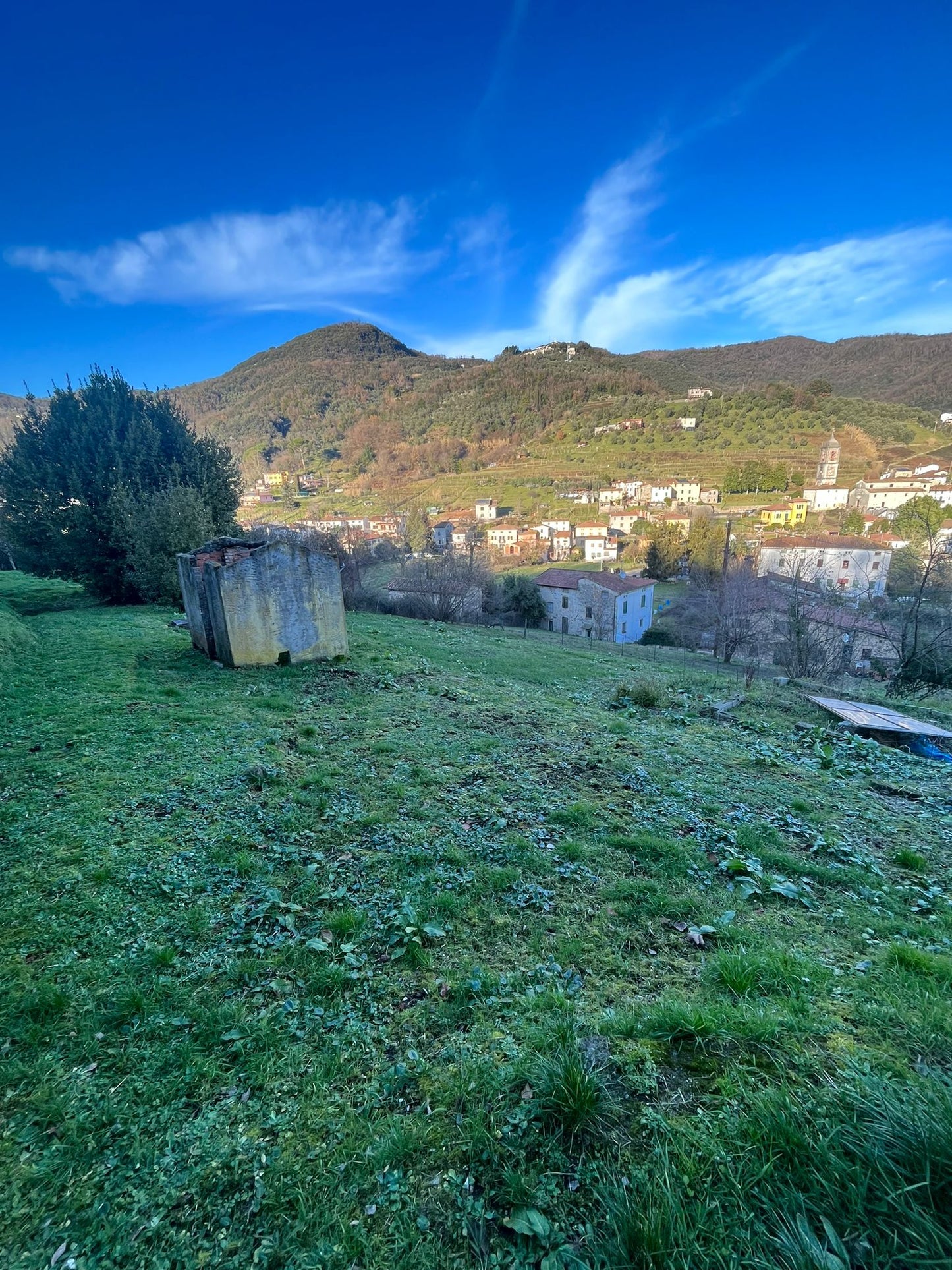 To be renovated with a view