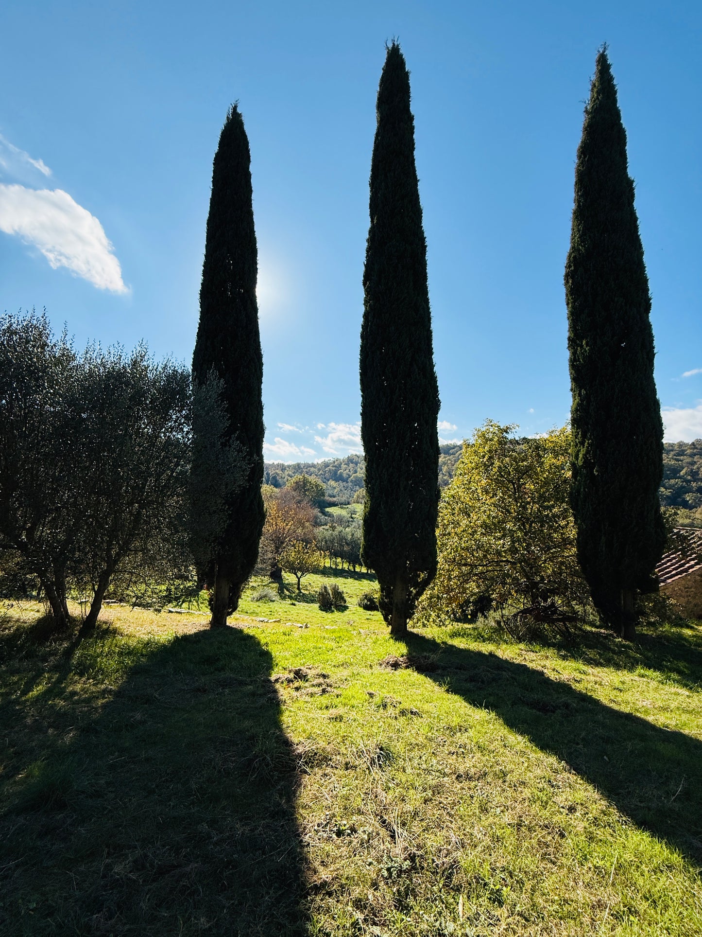 Renovated farmhouse in Pieve a Presciano with pool and view