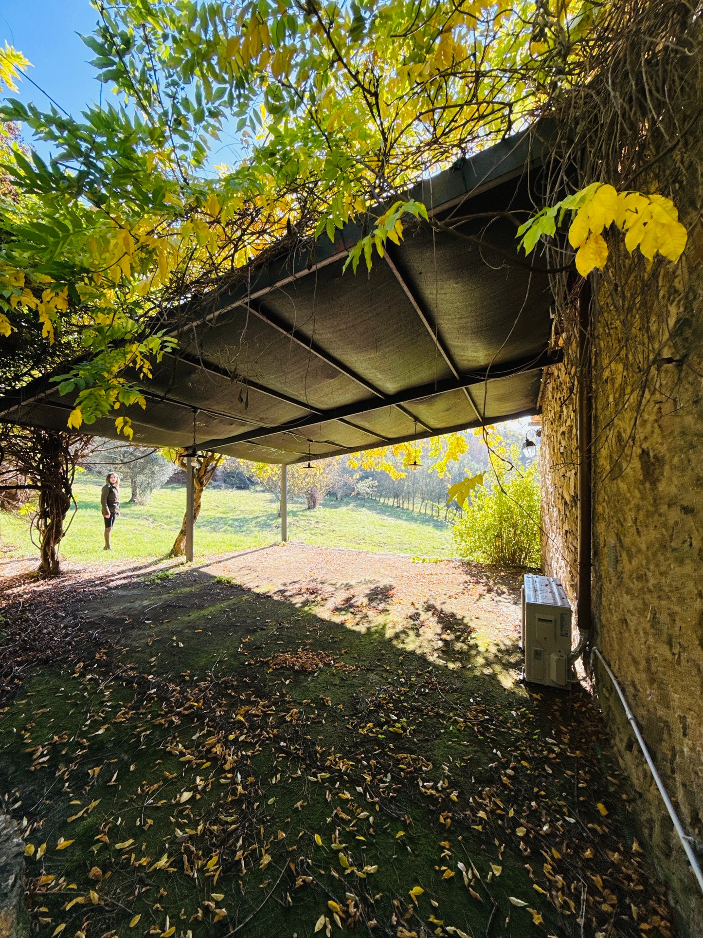 Renovated farmhouse in Pieve a Presciano with pool and view