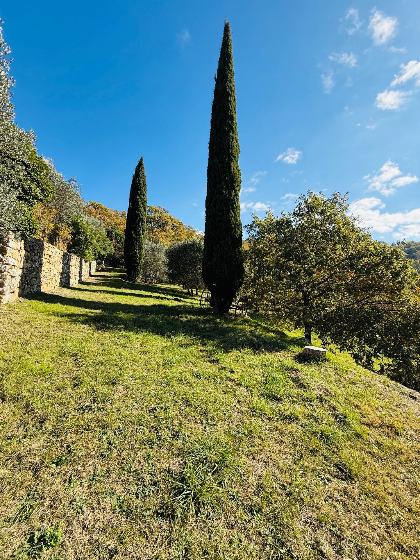 Renovated farmhouse in Pieve a Presciano with pool and view