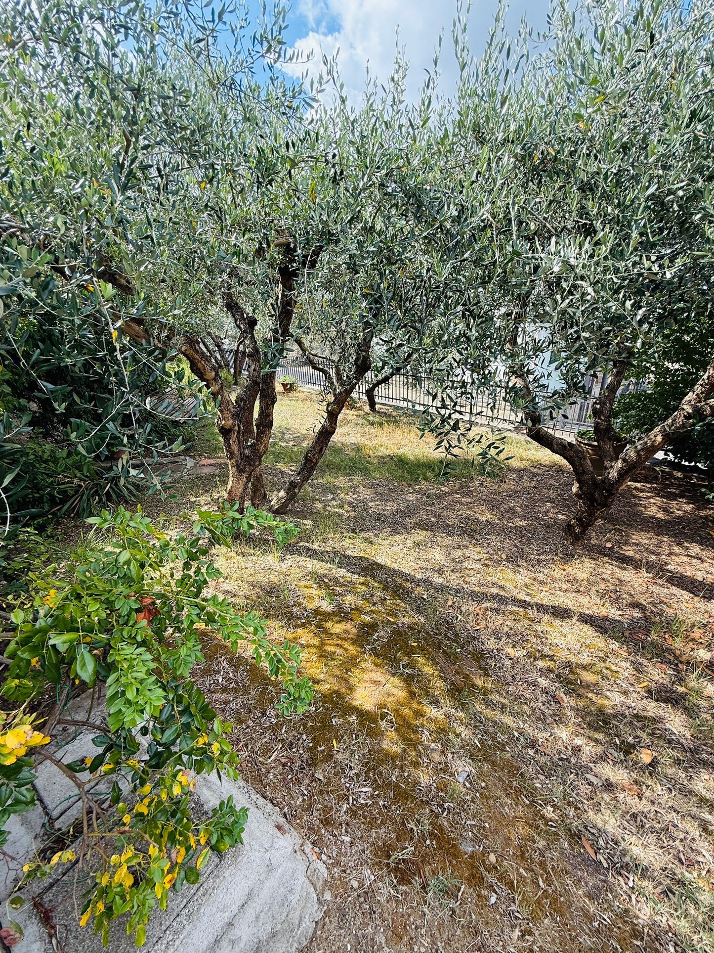 Detached house with three bedrooms and two bathrooms